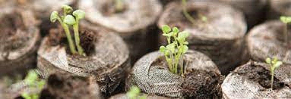 Peat Pellets 30mm Jiffy FAST SHIP lots-10,25,50,75,100,200 Growing Seed Starting