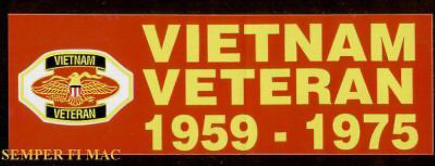 VIETNAM VETERAN BUMPER STICKER NAM WAR VET PIN UP US ARMY MARINES NAVY AIR FORCE