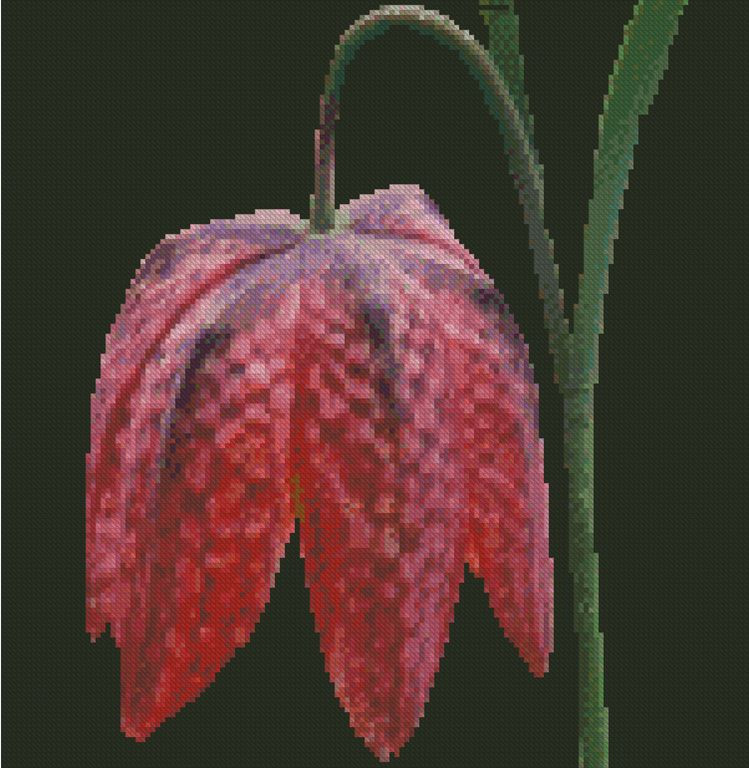Snake-Head Fritillary Flower Counted Cross Stitch CHART No.20-127
