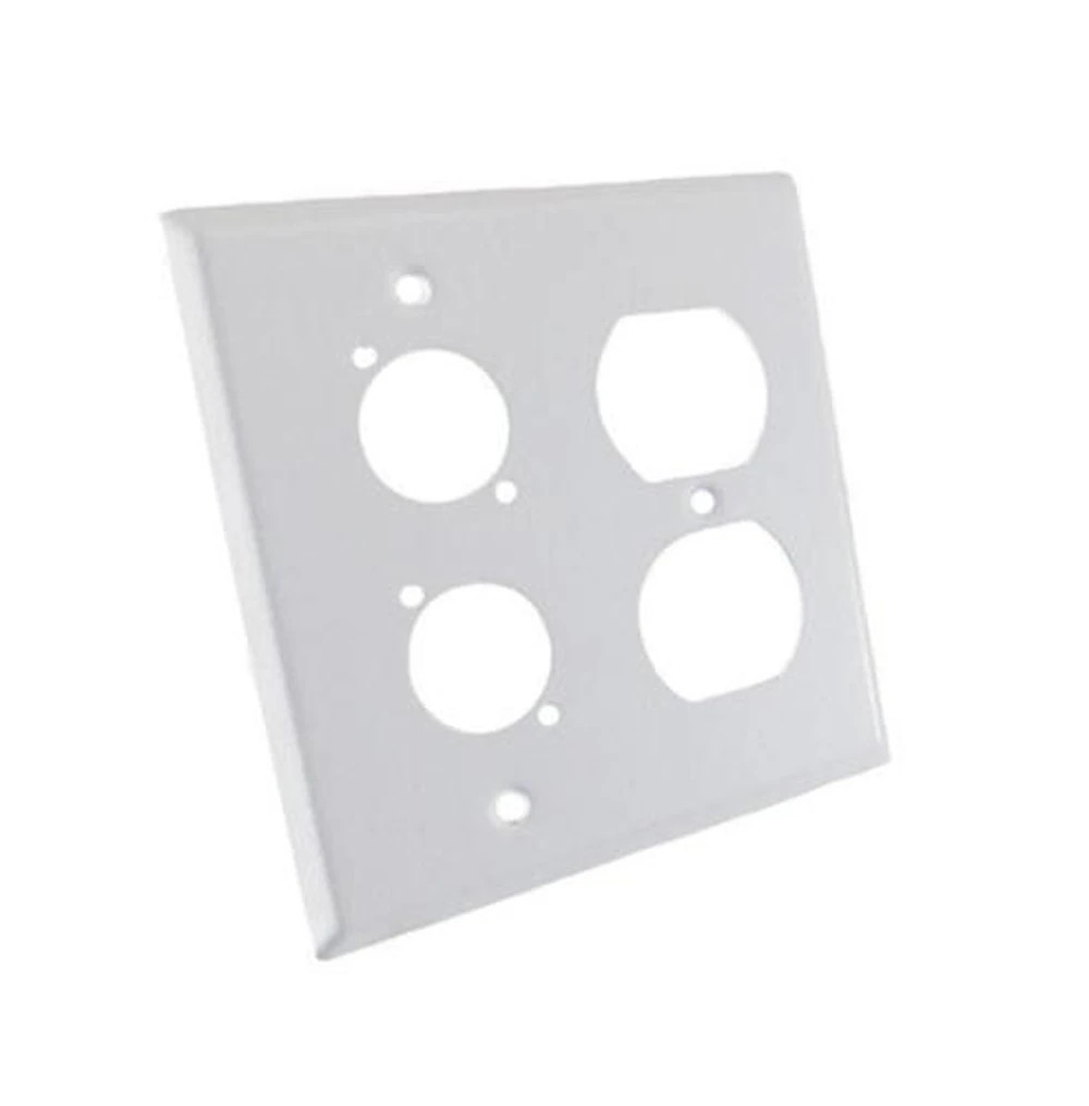 ProCraft Stainless Steel White 2 Gang Wall Plate/ AC Duplex 2 XLR "D" Style Hole