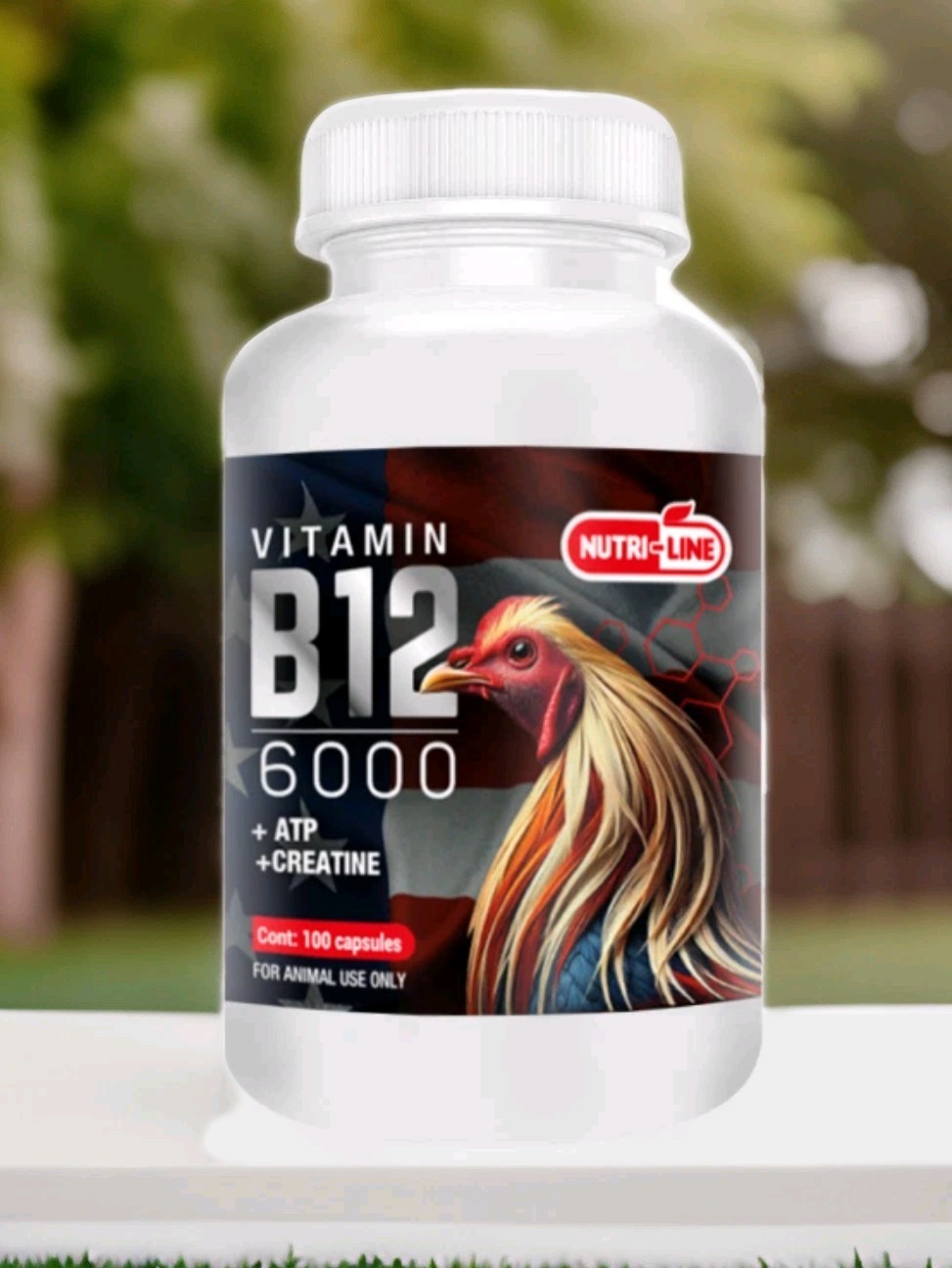 B12 6000 100 Capsules (Para Gallos)