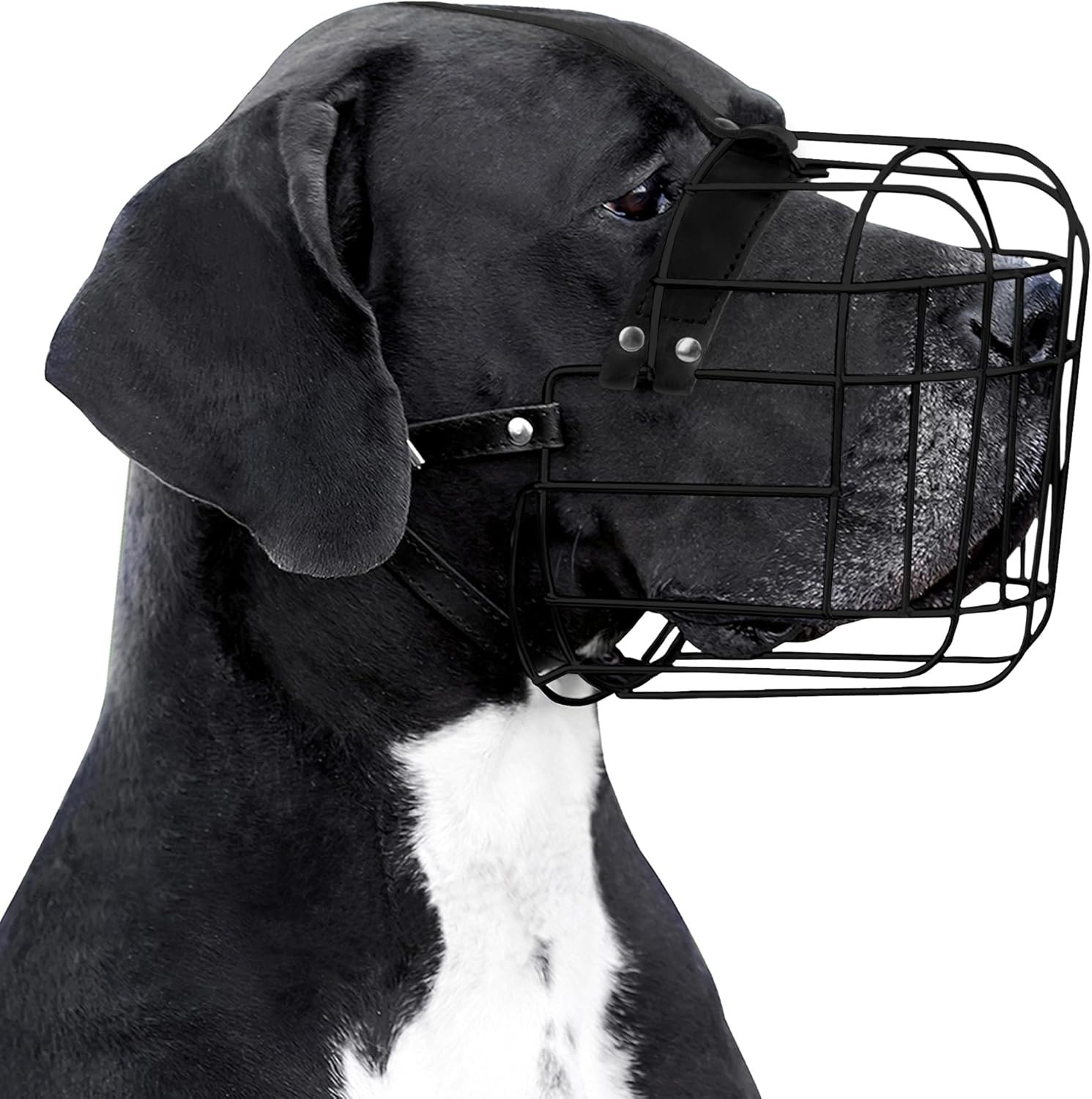 Safety First: Breathable Wire Basket Muzzle for Large Breeds with Adjustable Fit