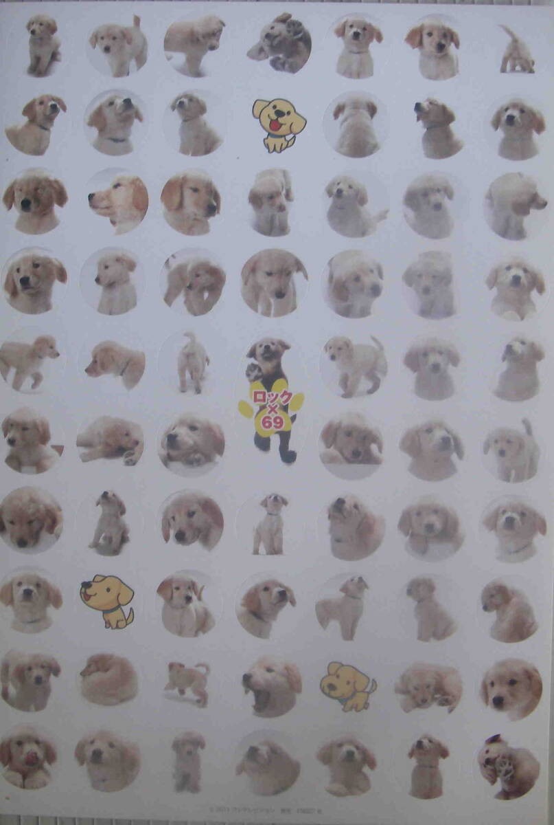 A4 clear file lock Wanko Isl1 dog sticker