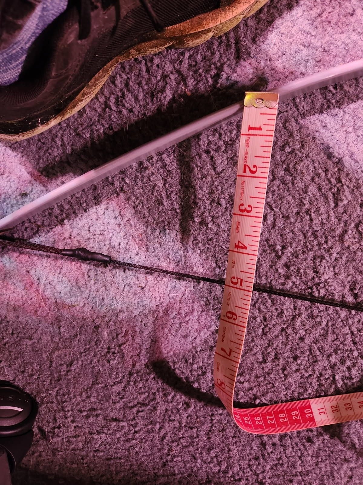 barnett lil'Phonenix bow