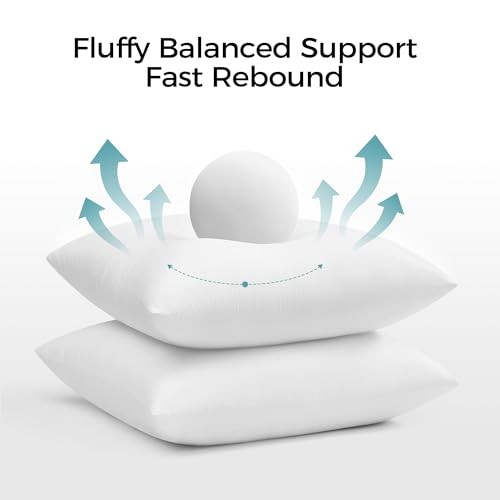 0x0 Throw Pillow Inserts Set of – Supportive & Fluffy Down 20 X 20 Inch 2