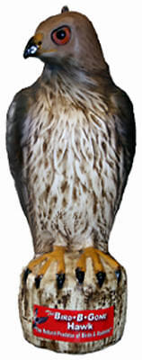 Bird-B-Gone MMRTH1 Hawk Decoy, Heavy Duty Plastic - Quantity 1