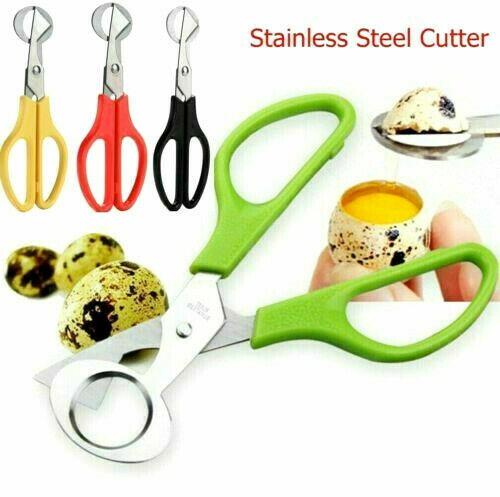 Stainless Steel Quail Egg Scissors (10 Pack) - FREE n FAST SHIPPING - USA SELLER
