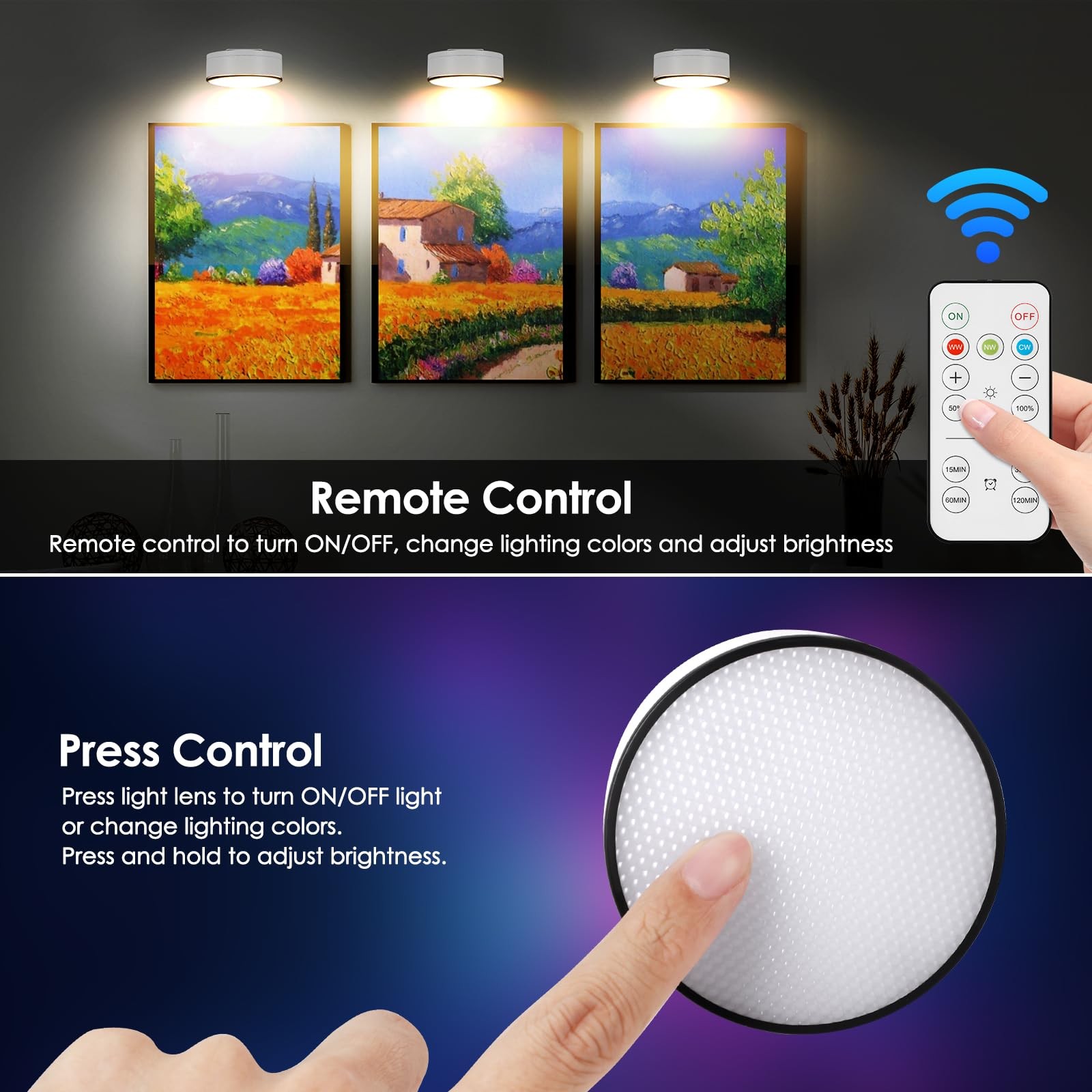 3Pcs Battery Picture Lights, Remote Painting Light for Art Disaplay,Magnetic ...
