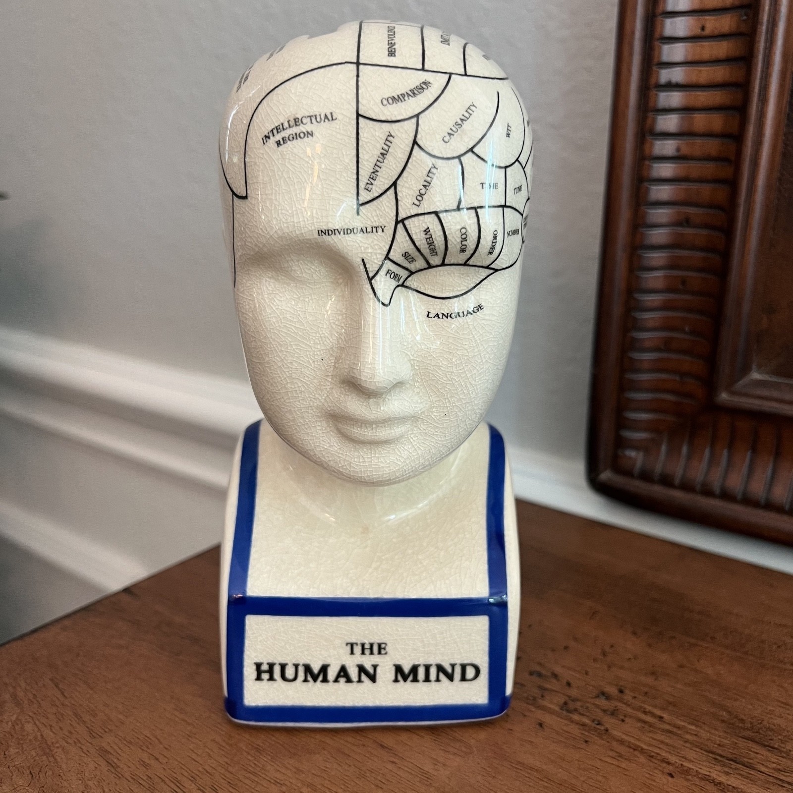 The Human Mind Phrenology Science Psychology Head Brain Statue Ceramic Decor
