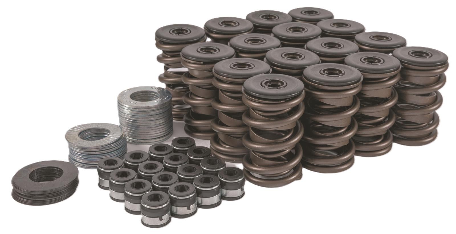 Trick Flow Valve Spring Upgrade Kit 2500200