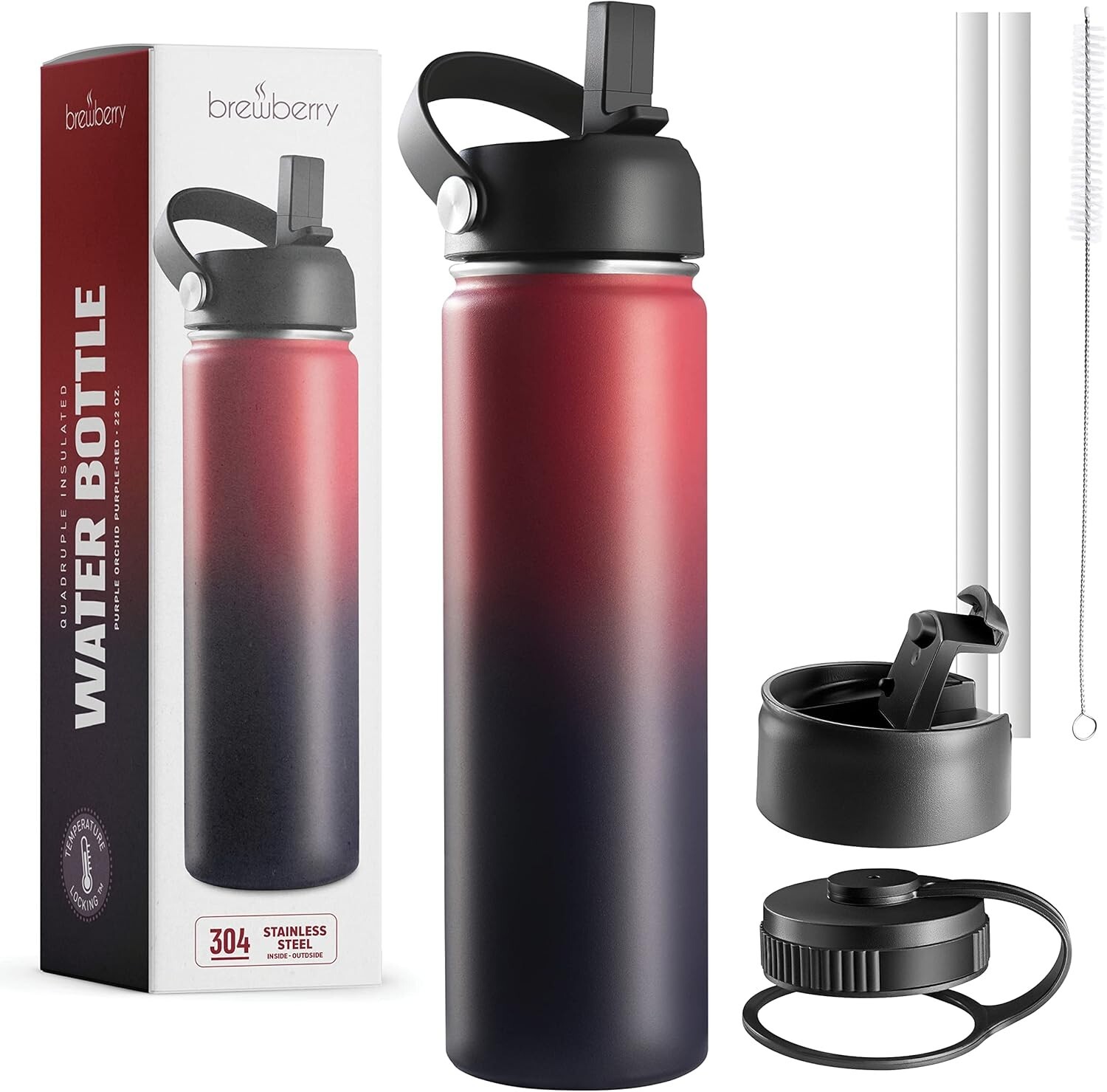 Stainless Steel Insulated Water Bottle and Travel Mug - 22oz - Purple Orchid