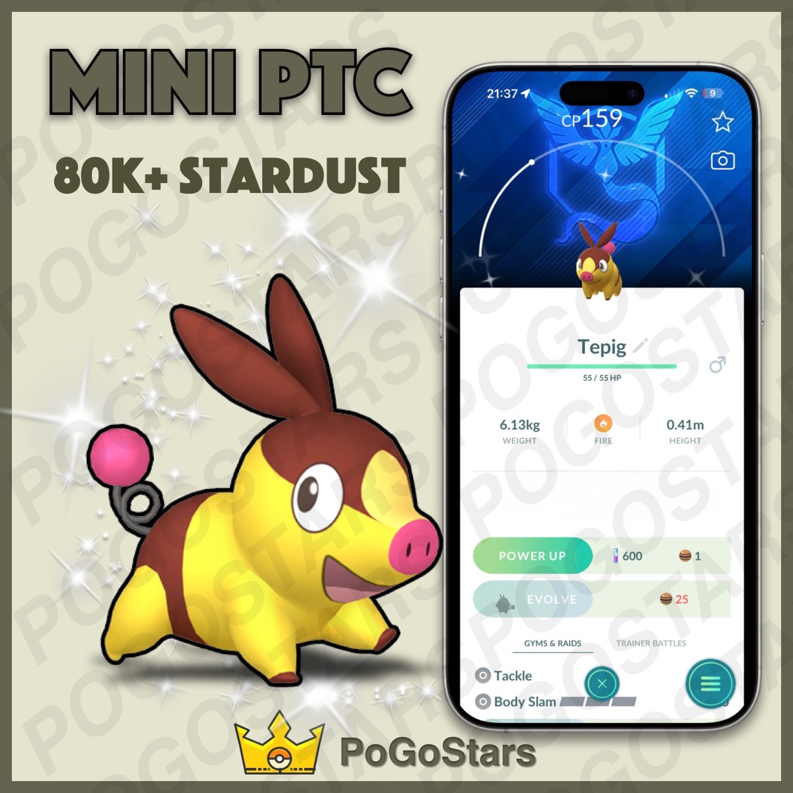 Pokémon PTC Go - Shiny Tepig - Team Mystic✨Special Background✨