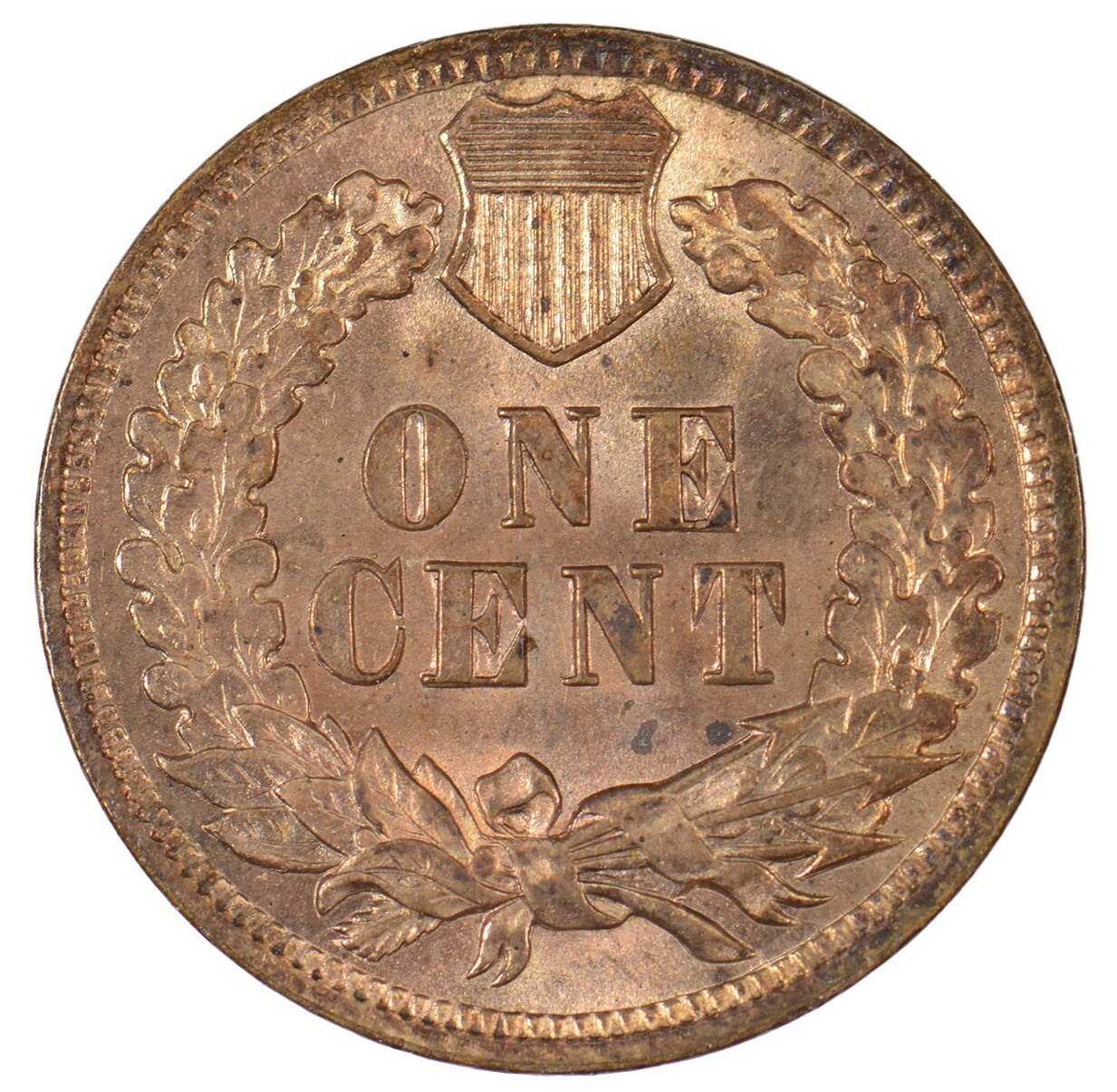 1902 Indian Head Cent ~ Uncirculated
