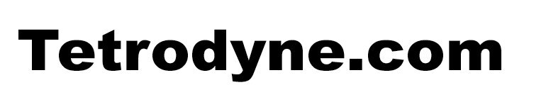 Tetrodyne.com - Premium Domain for Sale