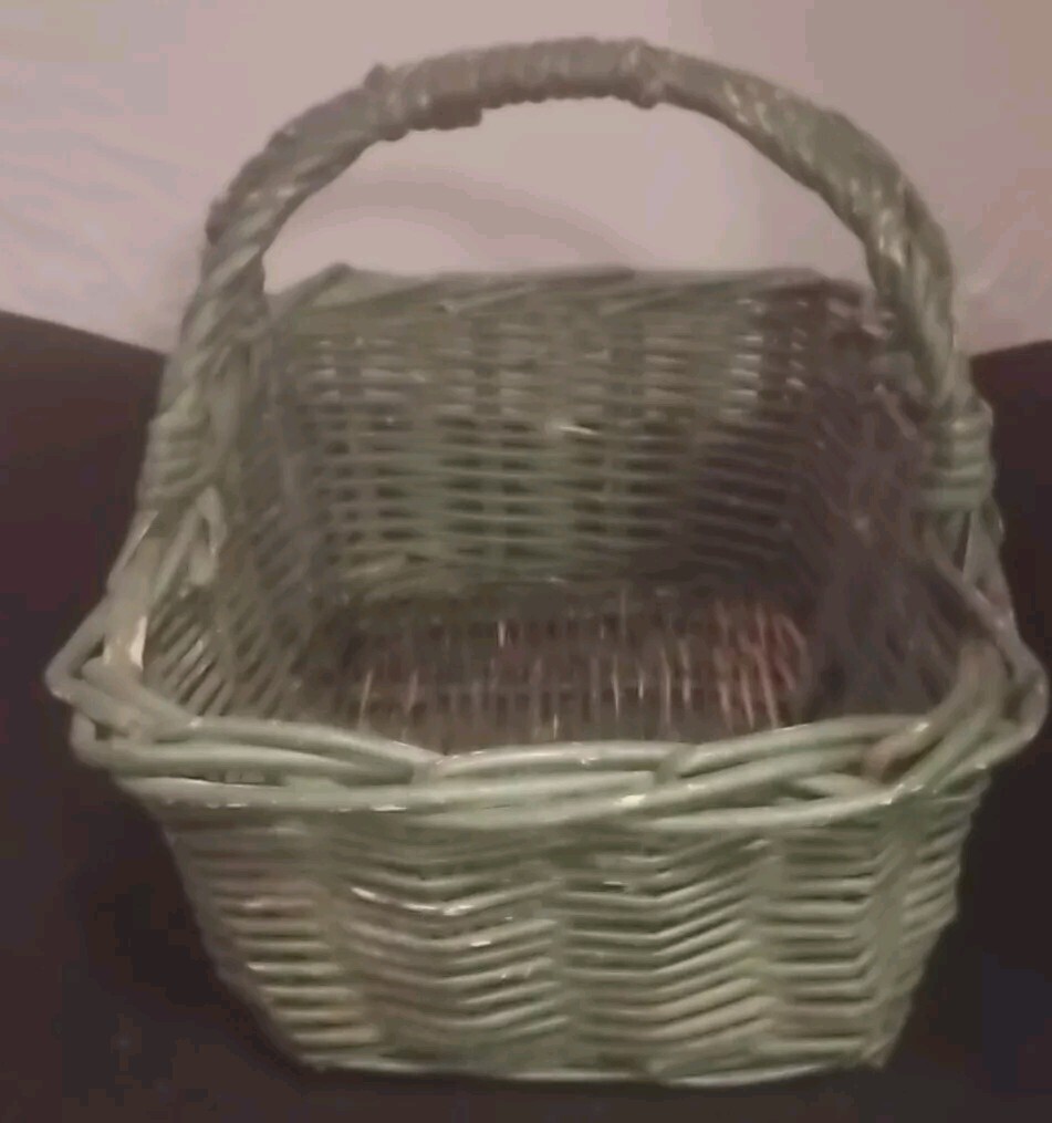 Green Rustic Willow Twig Woven Basket, Primitive Rectangle Basket with Handle.