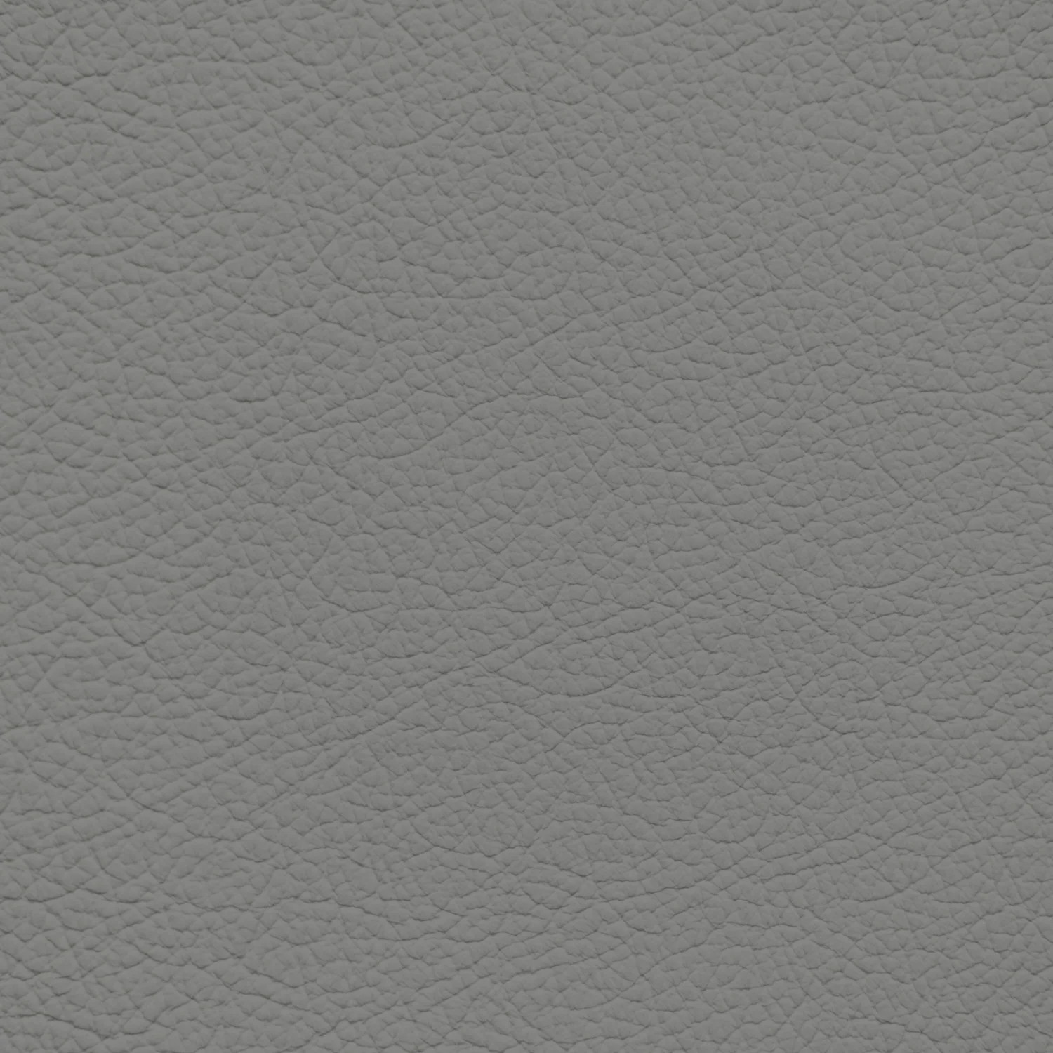 Jaguar Nimbus Grey Leather Dye