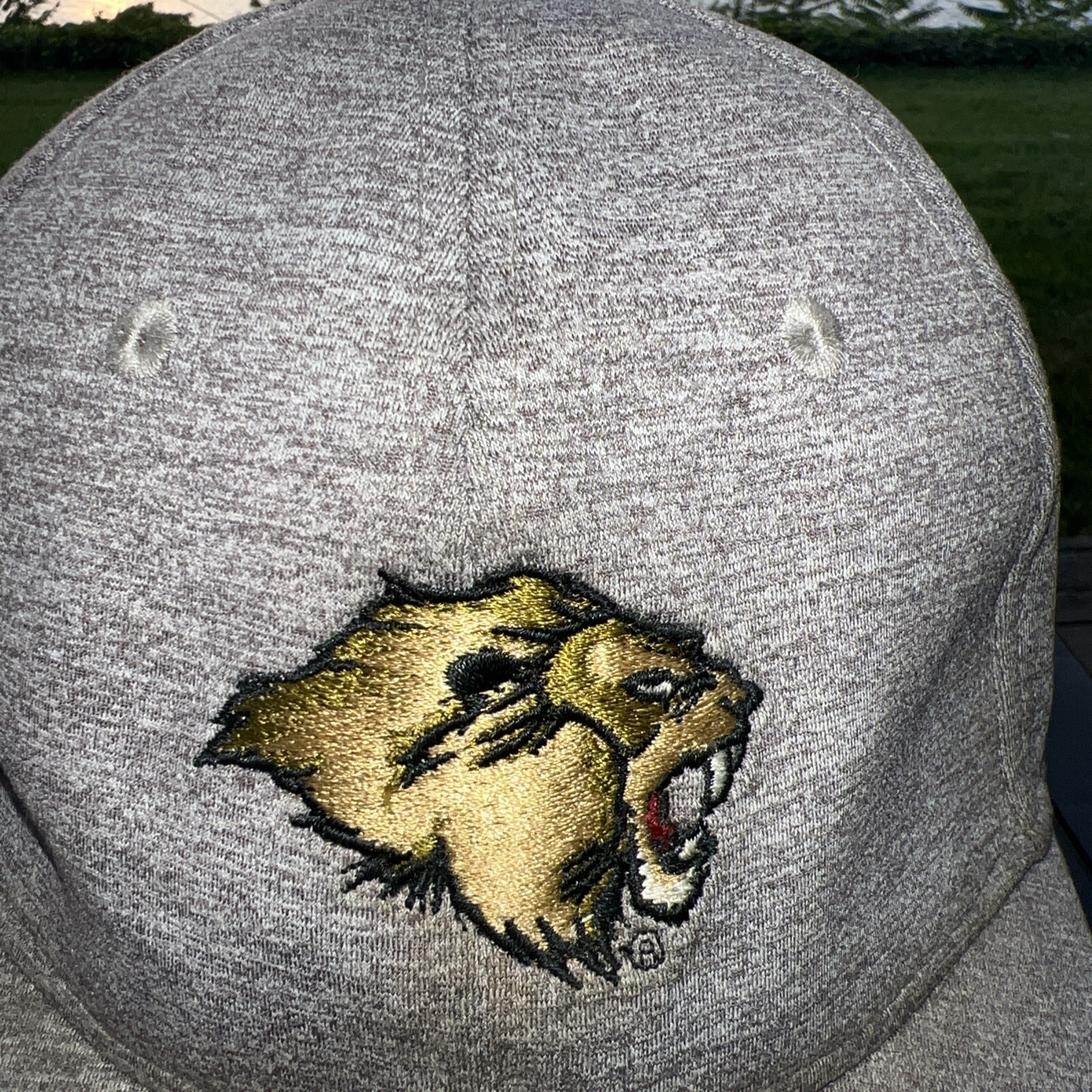 Lion Head on Heather Gray Knit Hat Cap Hook Loop Ahead Performance Midfit EUC
