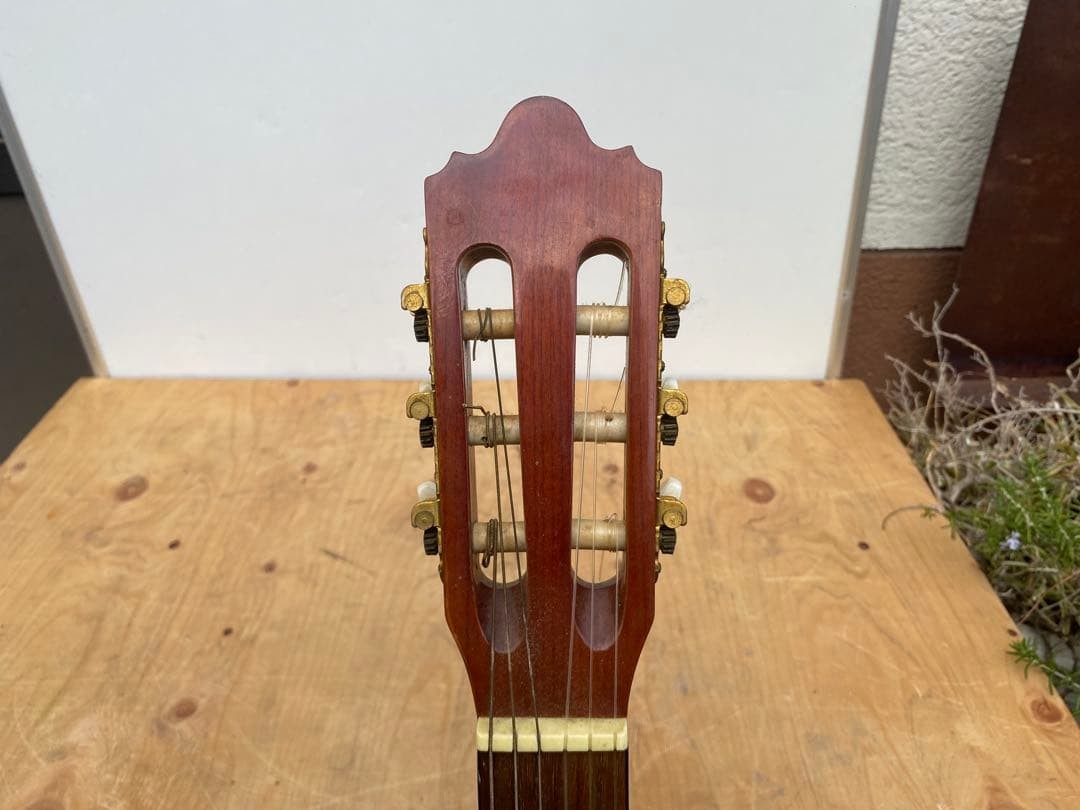 Stafford SSC450 Electro Classical Guitar With Nylon Strings, Used