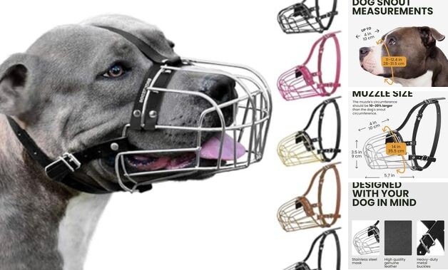 Pitbull Dog Muzzle Metal Mask Amstaff Wire Basket Pit Bull Leather, Steel