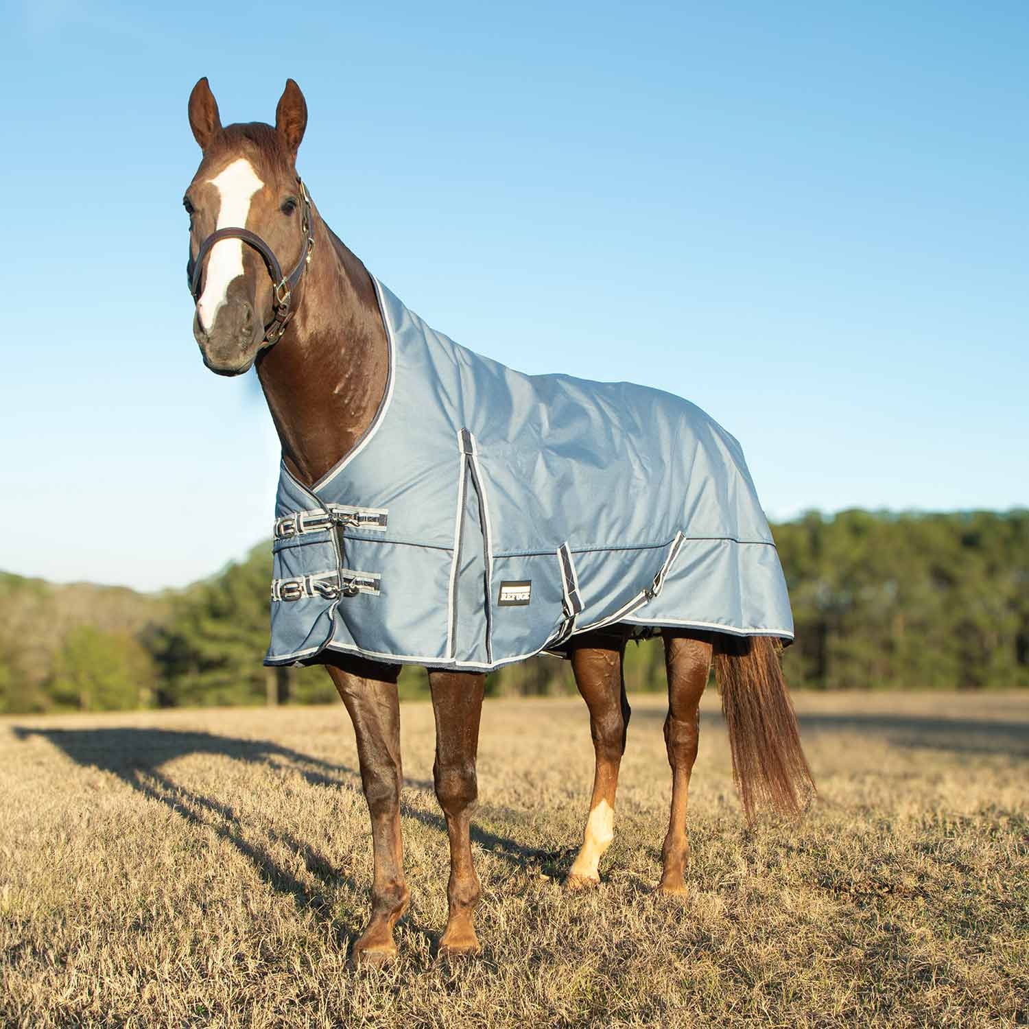 Jeffers Poplar Head Refuge 1200 Denier Turnout Blanket w/ High Neck, Hamilton