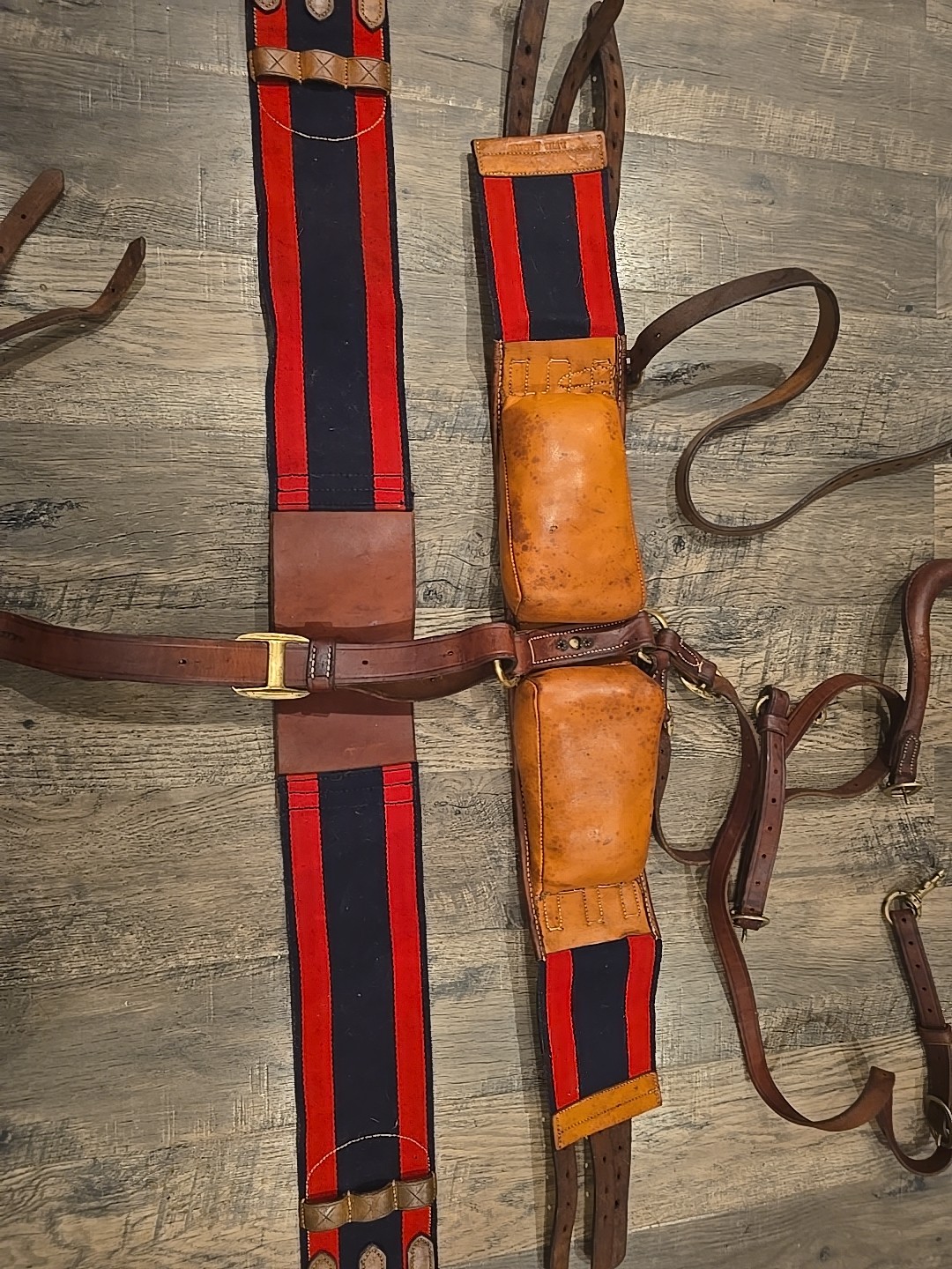 horse training surcingle