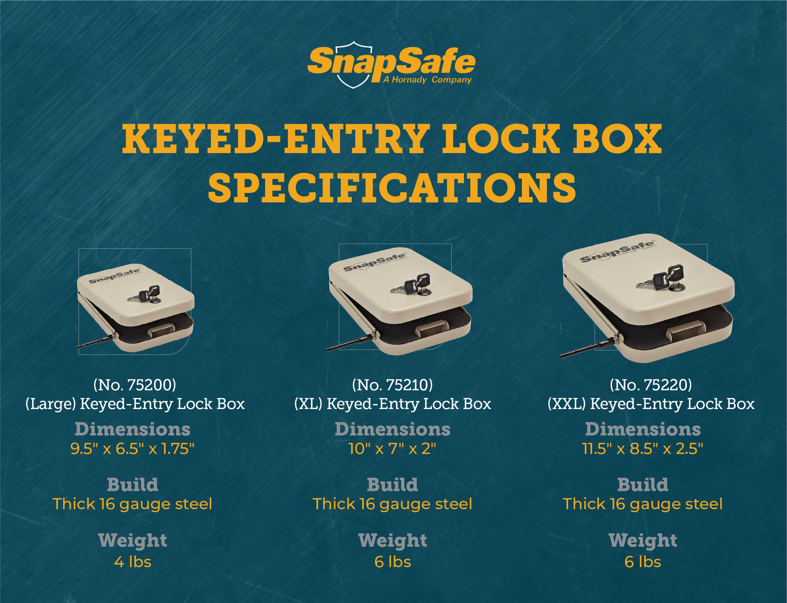 SnapSafe Portable Lock Box, Include 2 Keys, Security Cable- 9.5"x 6.5"x 1.75""
