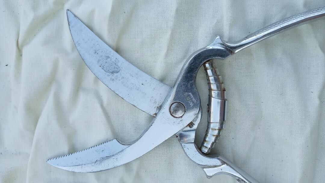 Wiss Germany #1309 Chrome Poultry Shears with Toggle Lock 9"