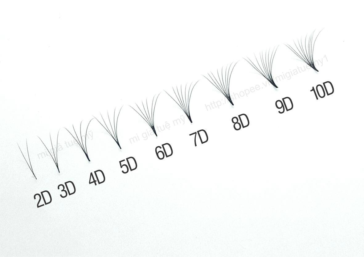 lash extensions fan