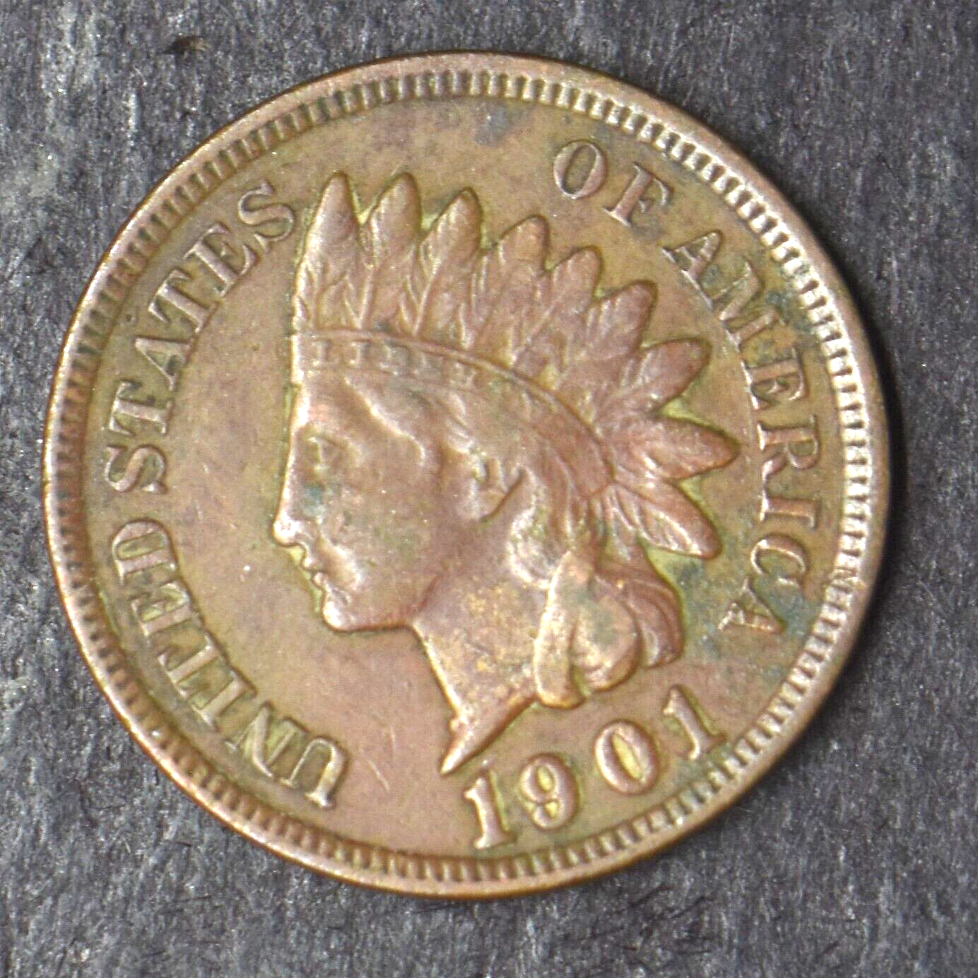 1901 Indian Head Cent - COINGIANTS -