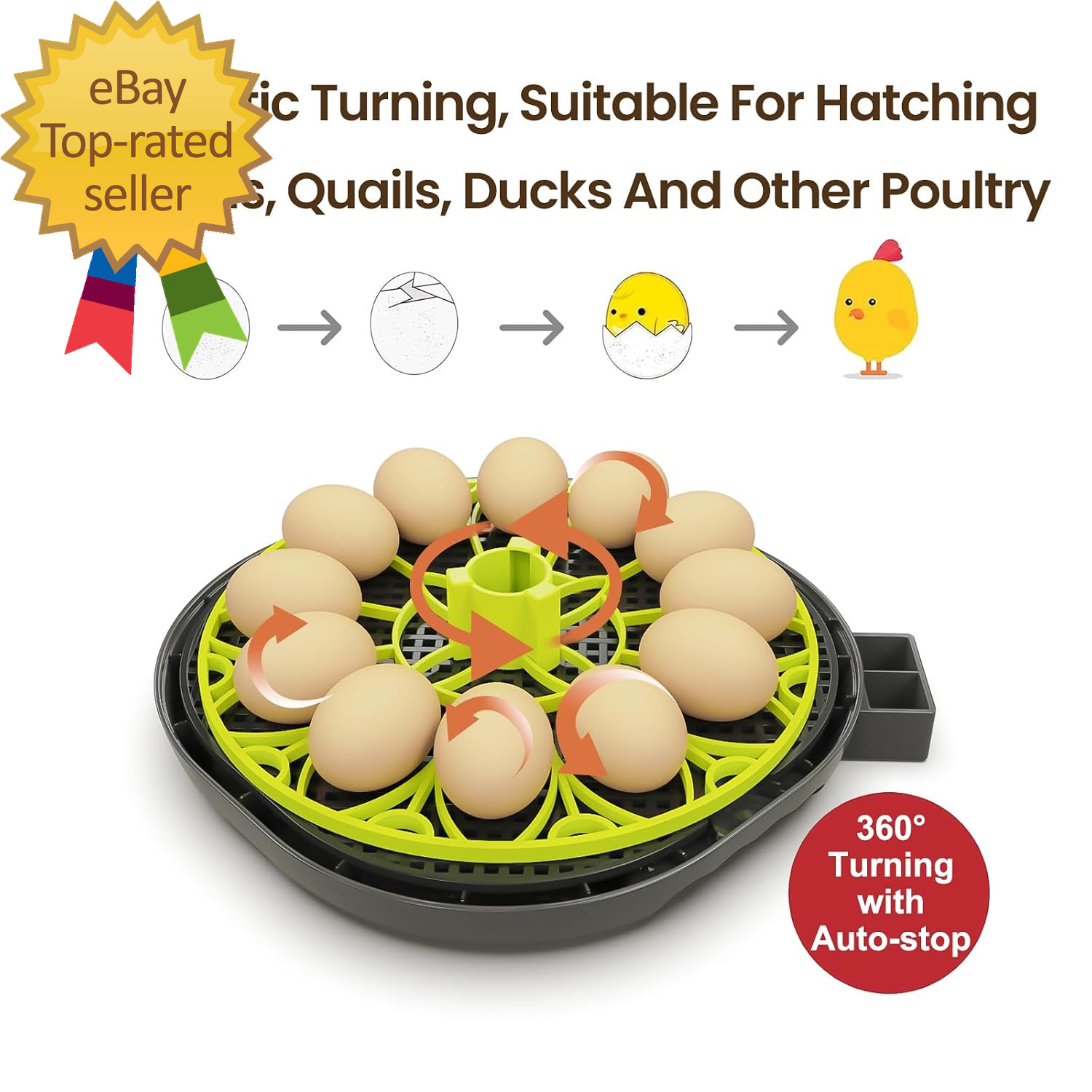 12 Egg Incubator with Automatic Egg Turning and Humidity Control Auto Water