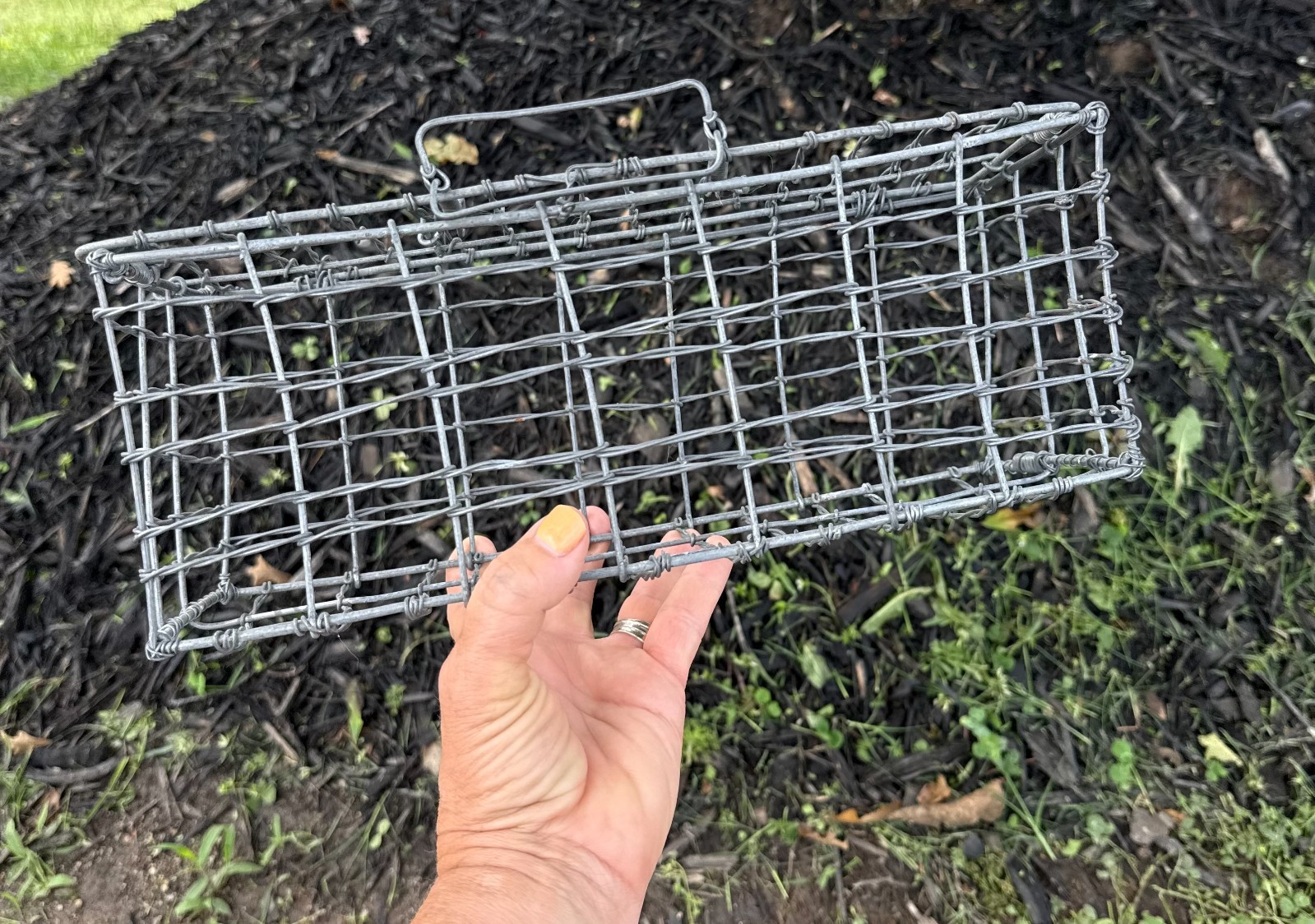 small rectangular wire baskerbasket with attached lid and clasp graden or home