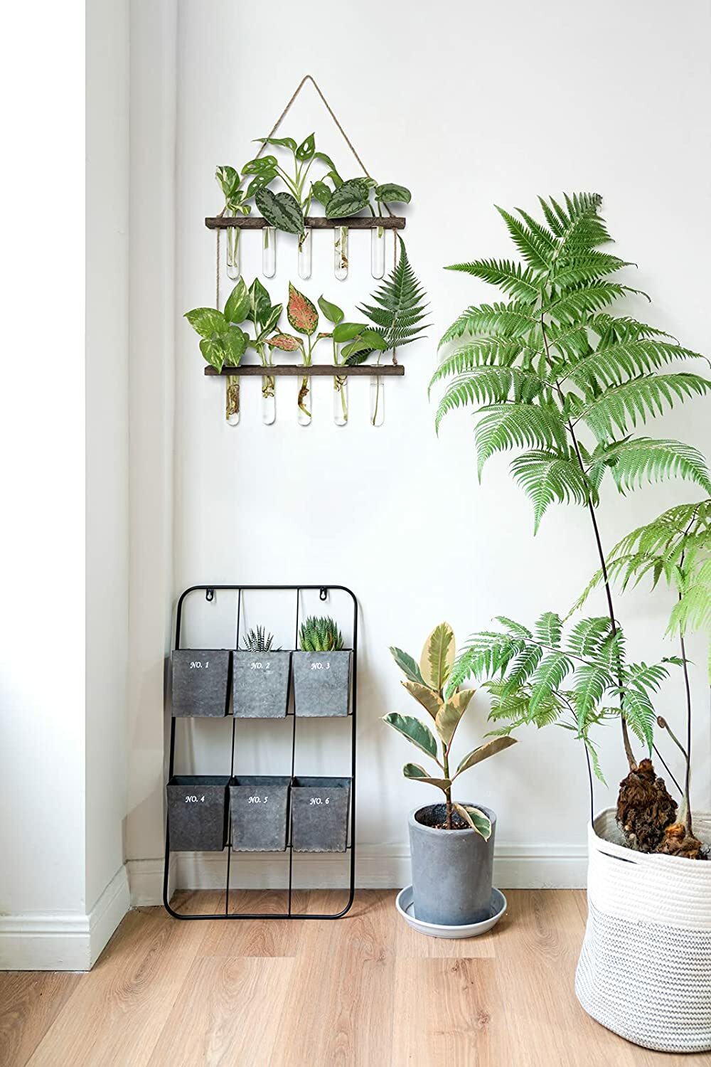 Hanging Plant Propagation Set