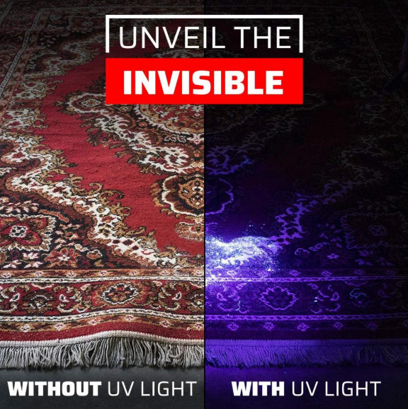 GearLight UV Black Light Flashlight [2 Pack] Compact Flashlights, Portable, New