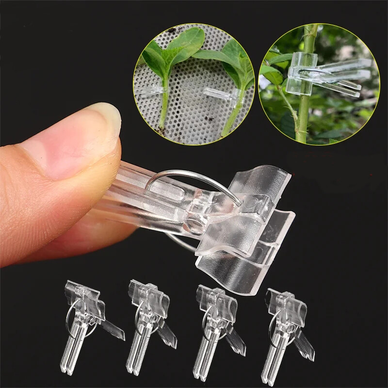 Grafting Clips  Vegetables Grafted Clamp Garden Plants Transparents Plastic Join