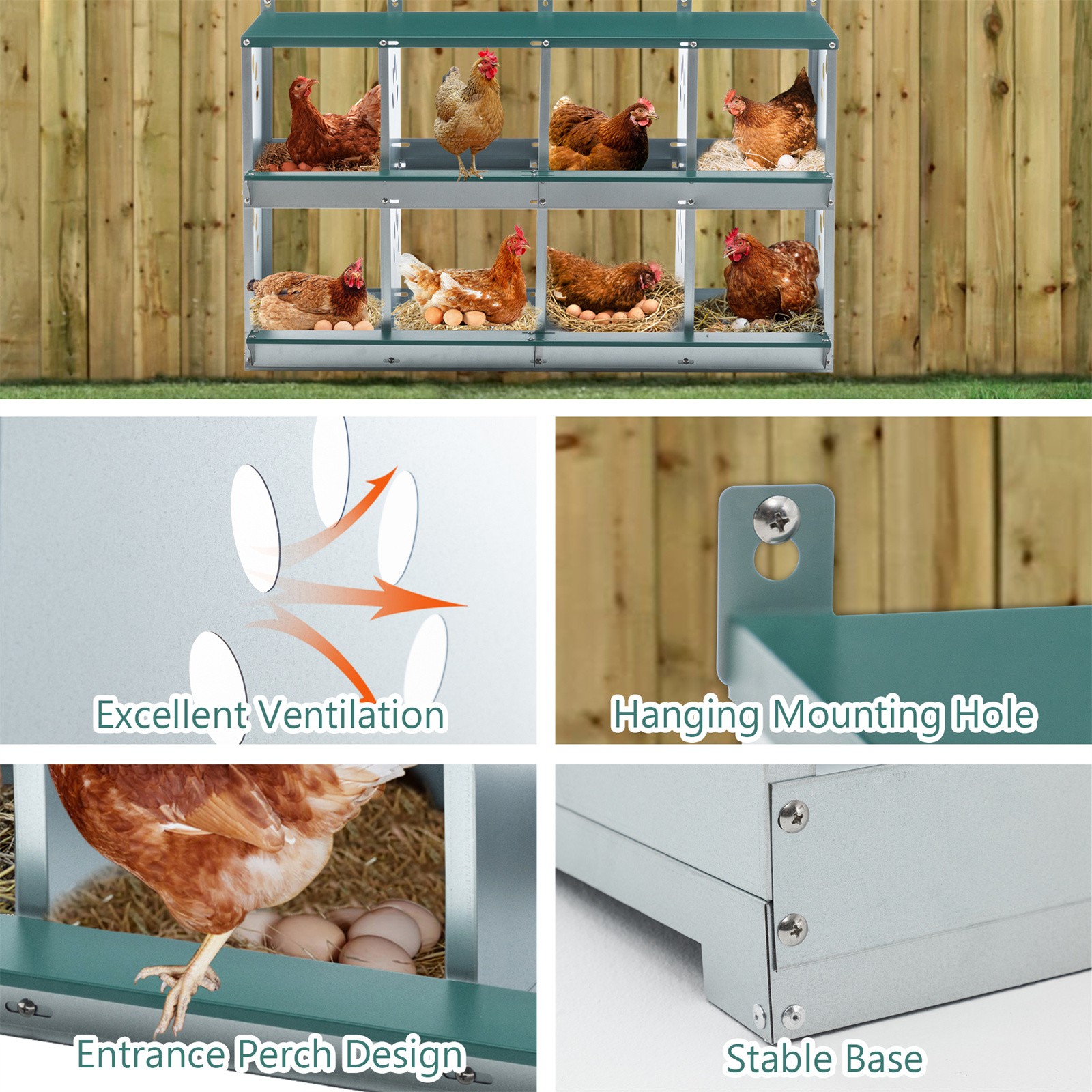 Metal Hens Box 8 Compartment Wall Mount Nesting Box for Chickens Laying Eggs