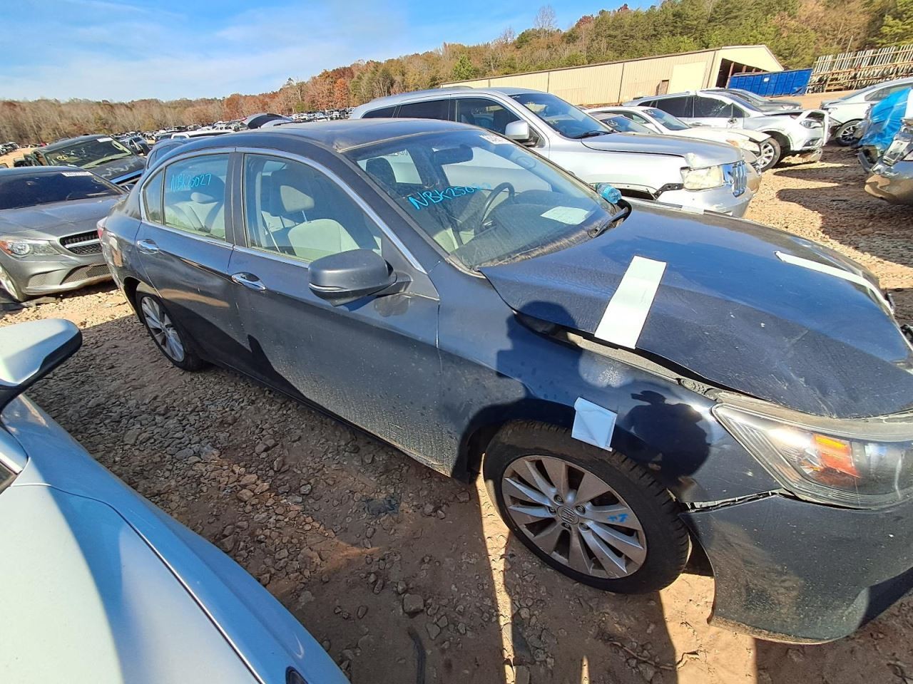 ACCORD    2014 Glove Box 4869843