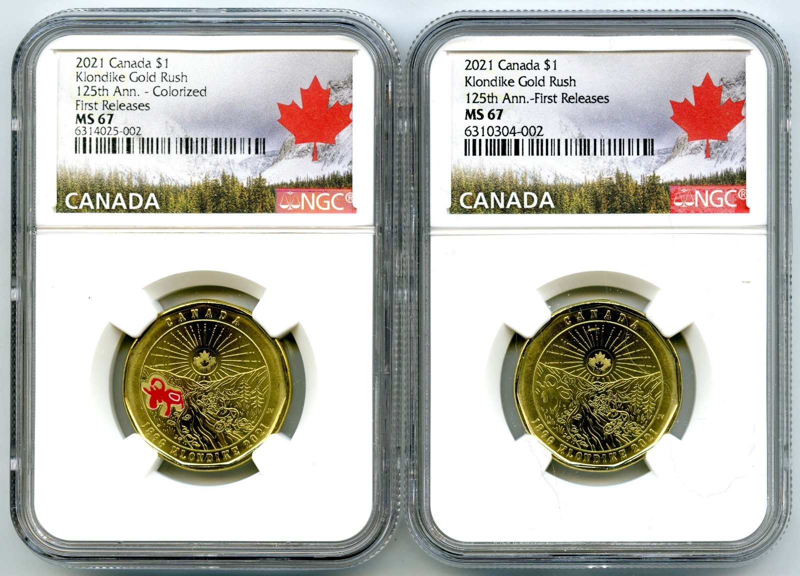 2021 $1 CANADA NGC MS67 KLONDIKE GOLD RUSH LOON LOONIE DOLLAR MATCHED 2-COIN SET