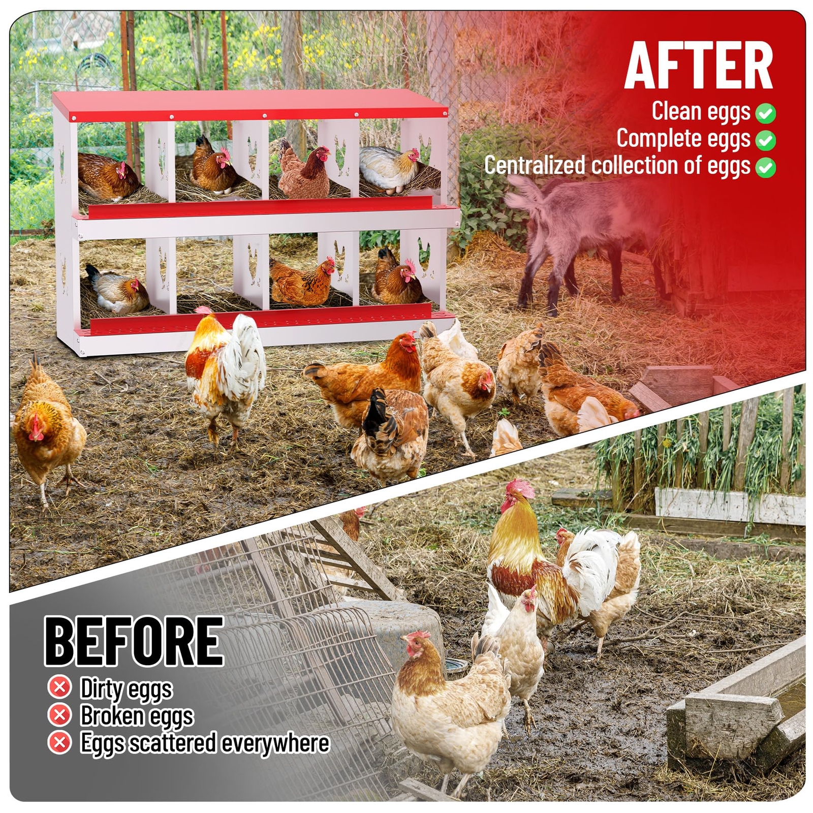 2 Tier Chicken Nesting Box 8 Compartment Chicken Egg Laying Box Egg Collection