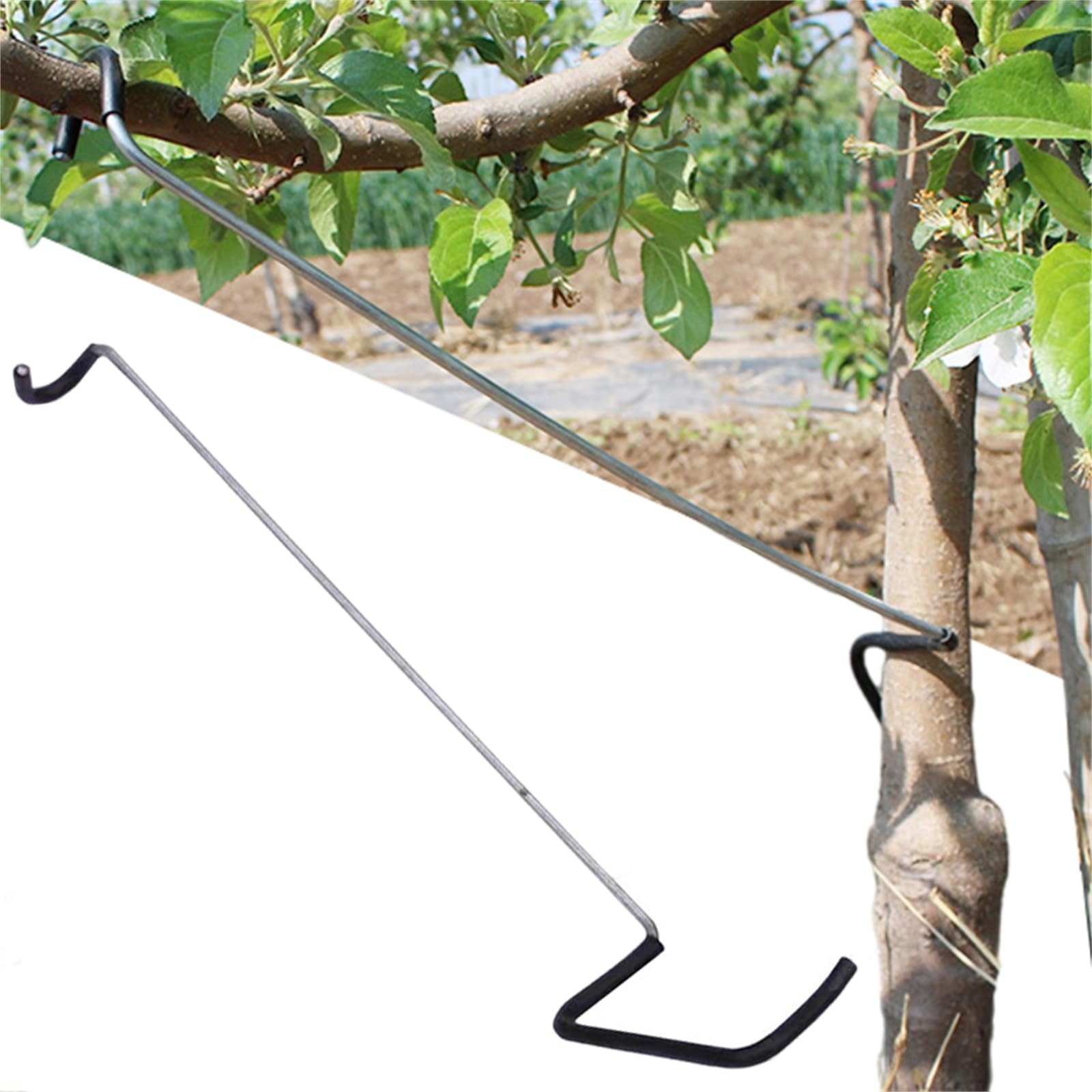 Fruit Tree Limb Spreader 10pcs,14inch Branch Puller,New Fruit Branch Spreader...