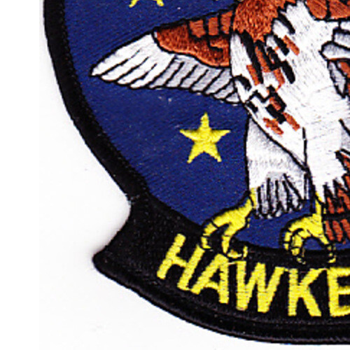 VAW-116 Patch Sic Em Baby Hawkeye