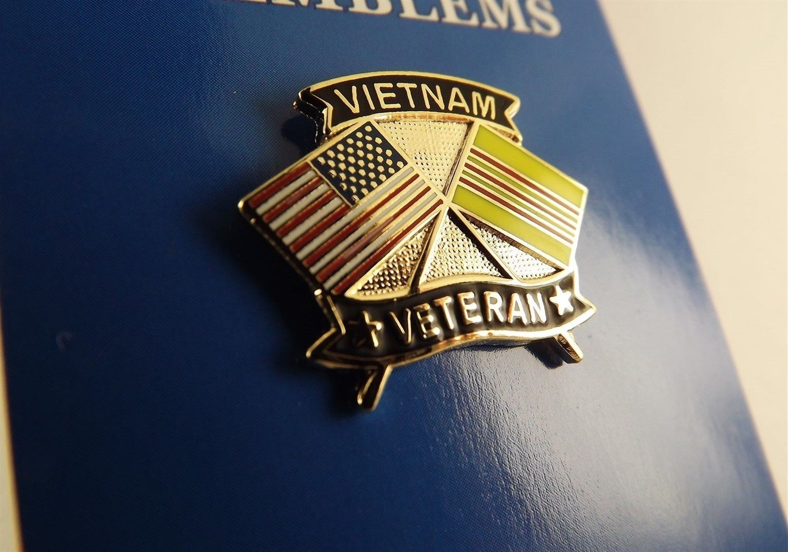 FREE SHIP Lapel Pin VIETNAM VETERAN American & Vietnam Flag Enamel 1"