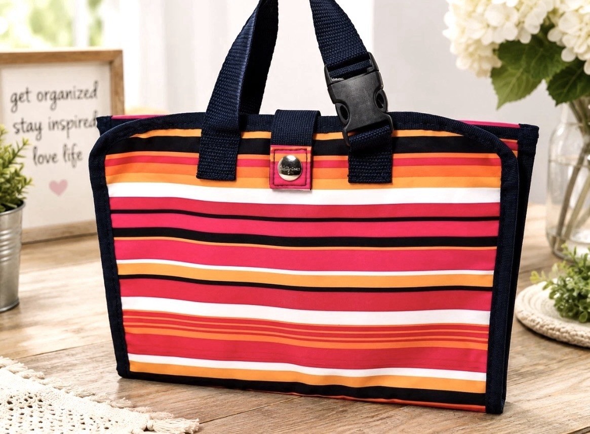 Thirty-One Fold Up Family Organizer Pinstripe Punch Retired Tote Storage Bag