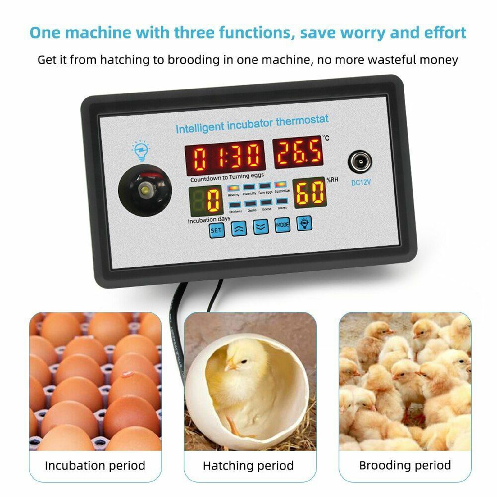 Thermostat Digital Temperature Humidity Automatic Egg Turning Control Incubator