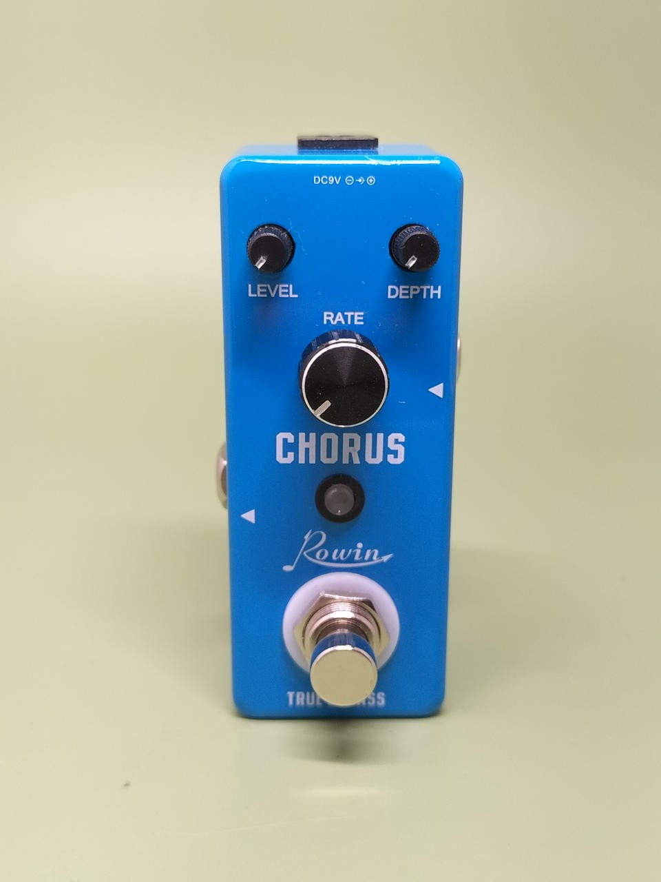 Rowin Chorus