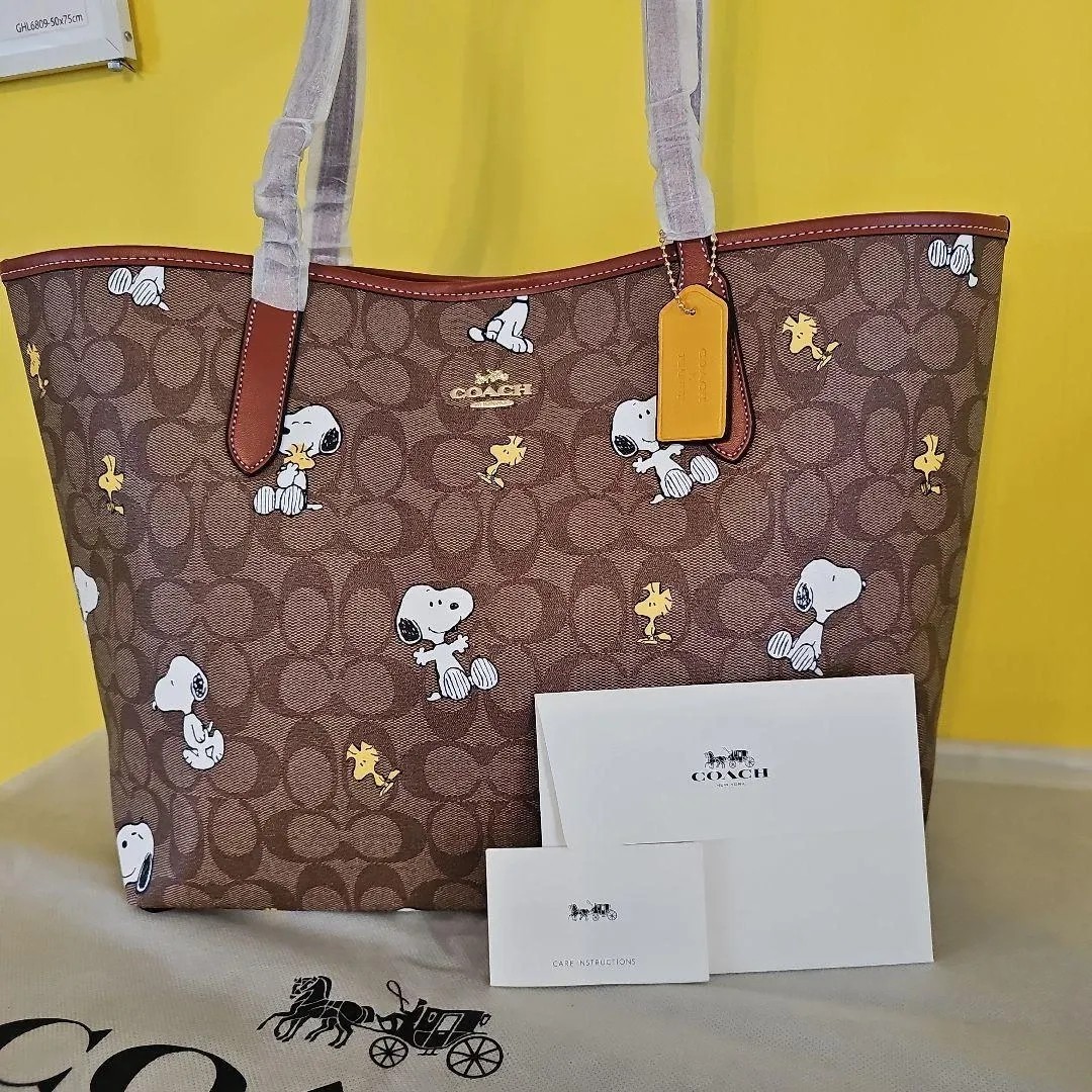 Coach Peanuts Snoopy CF166 Khaki Redwood Multi Tote Bag Signature