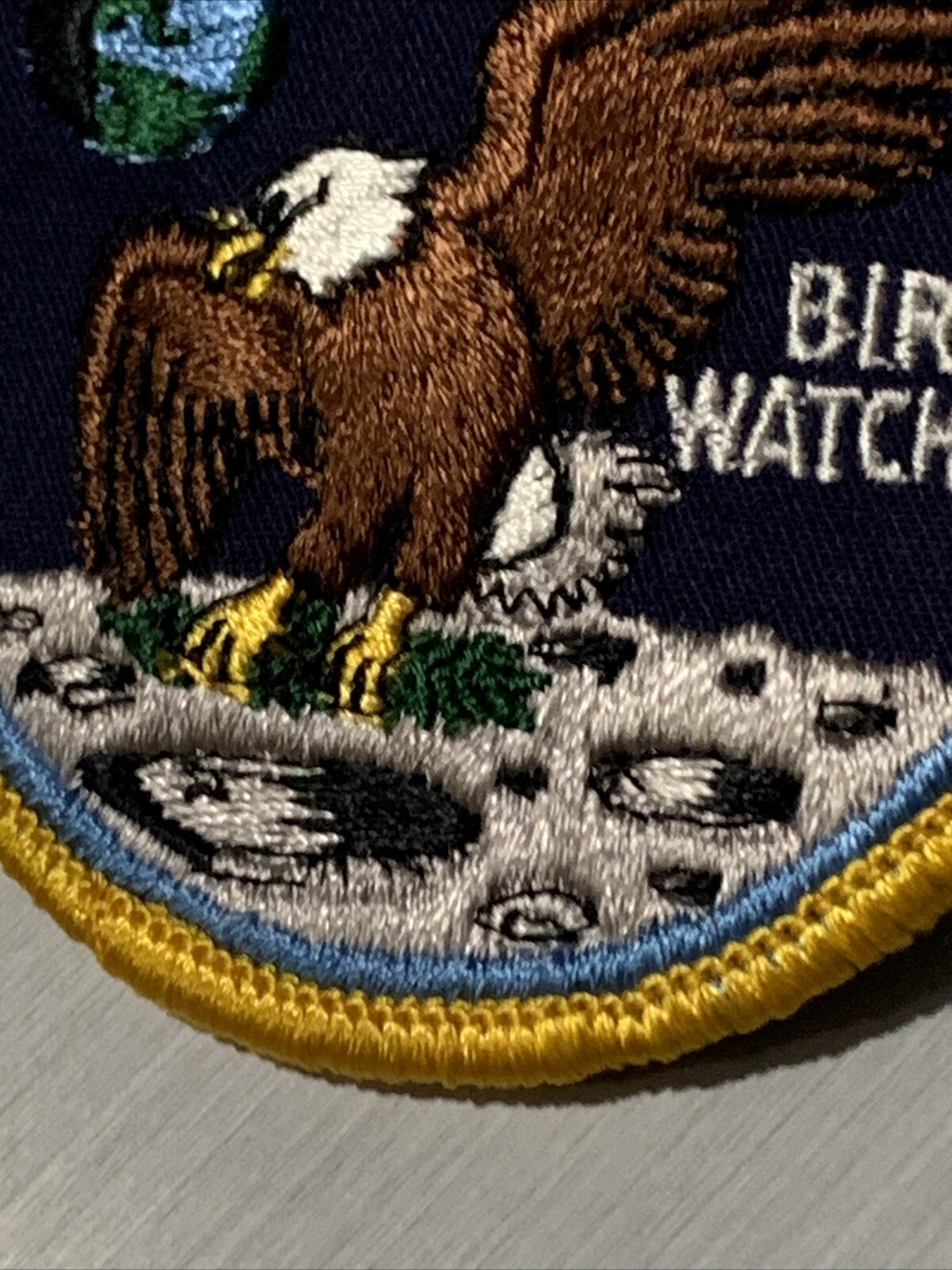 Apollo 11 Bird Watcher Patch Lion Brothers-Original Lion Brothers Patch