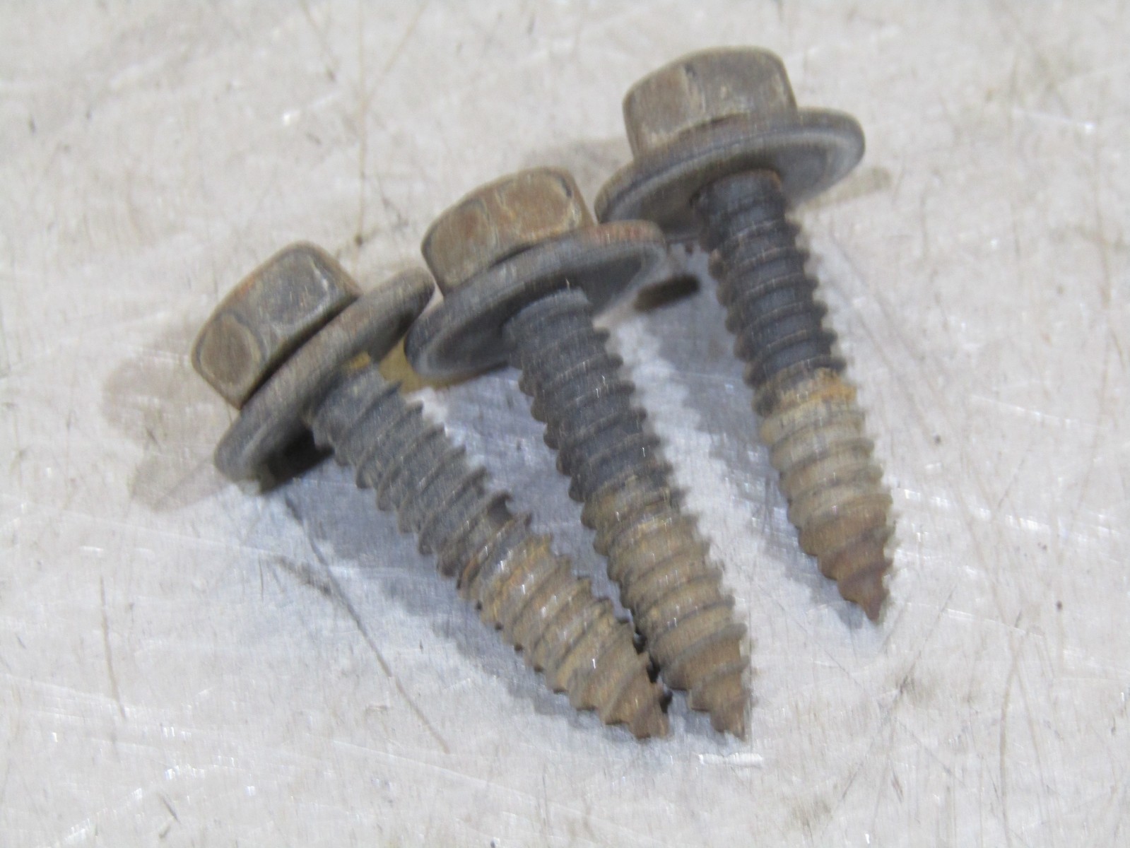 1994-1996 Buick Century 3.1L OEM cruise control module bolt screw set 94 95 96