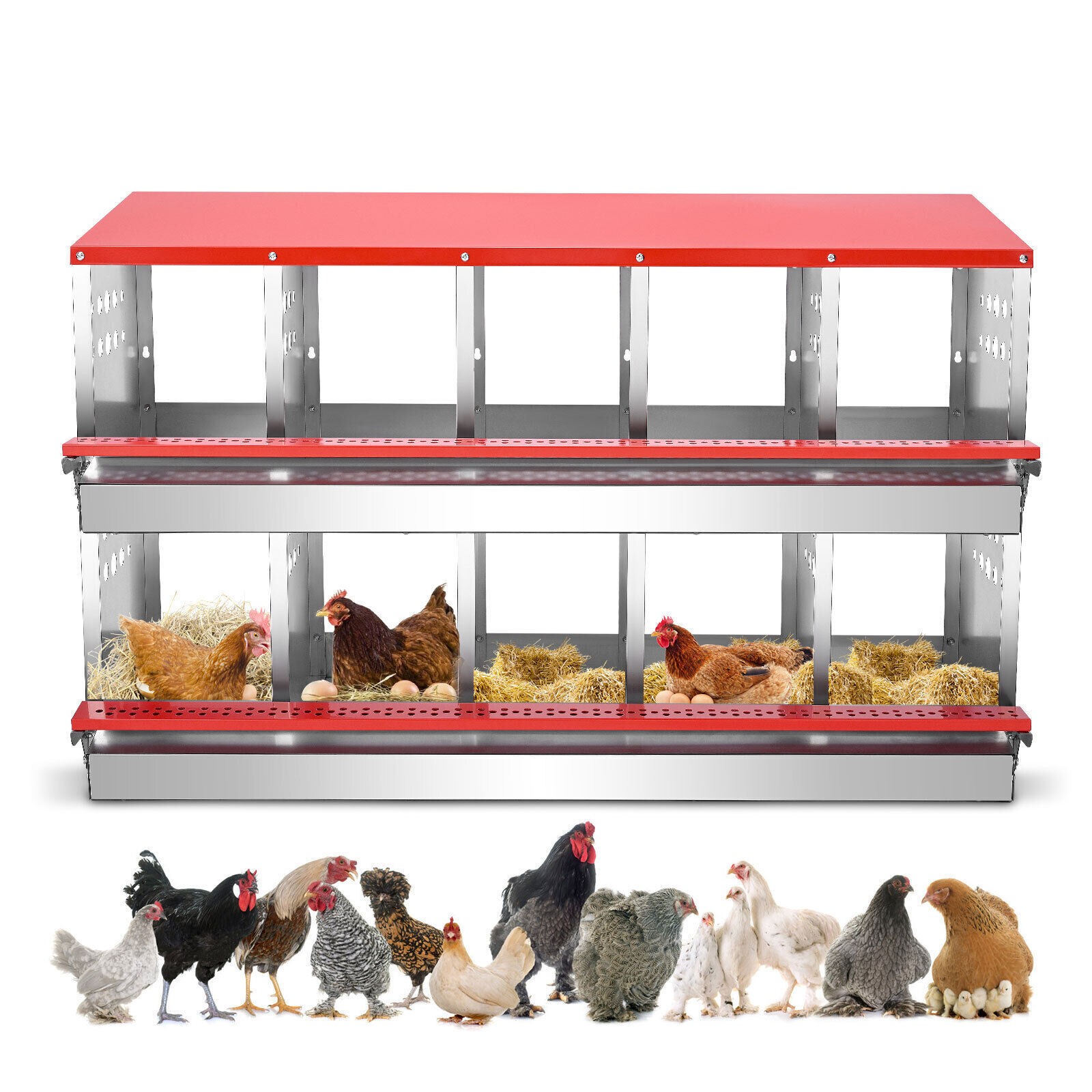 10 Hole Chicken Nesting Boxes Chicken Egg Laying Box with Rollout Egg Collection