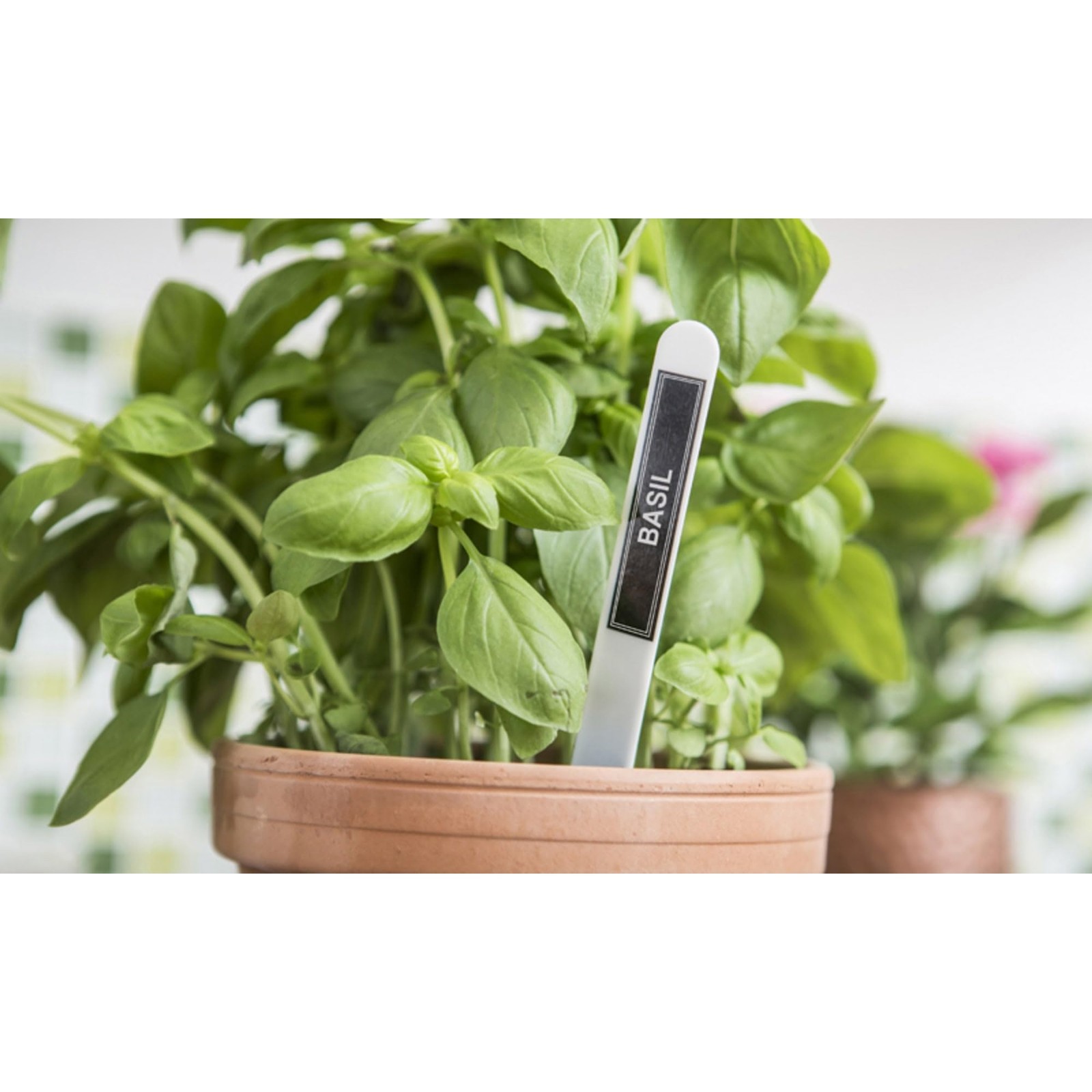 P-Touch Cube Color Smartphone Label Maker, Bluetooth Wireless Technology, Mul...