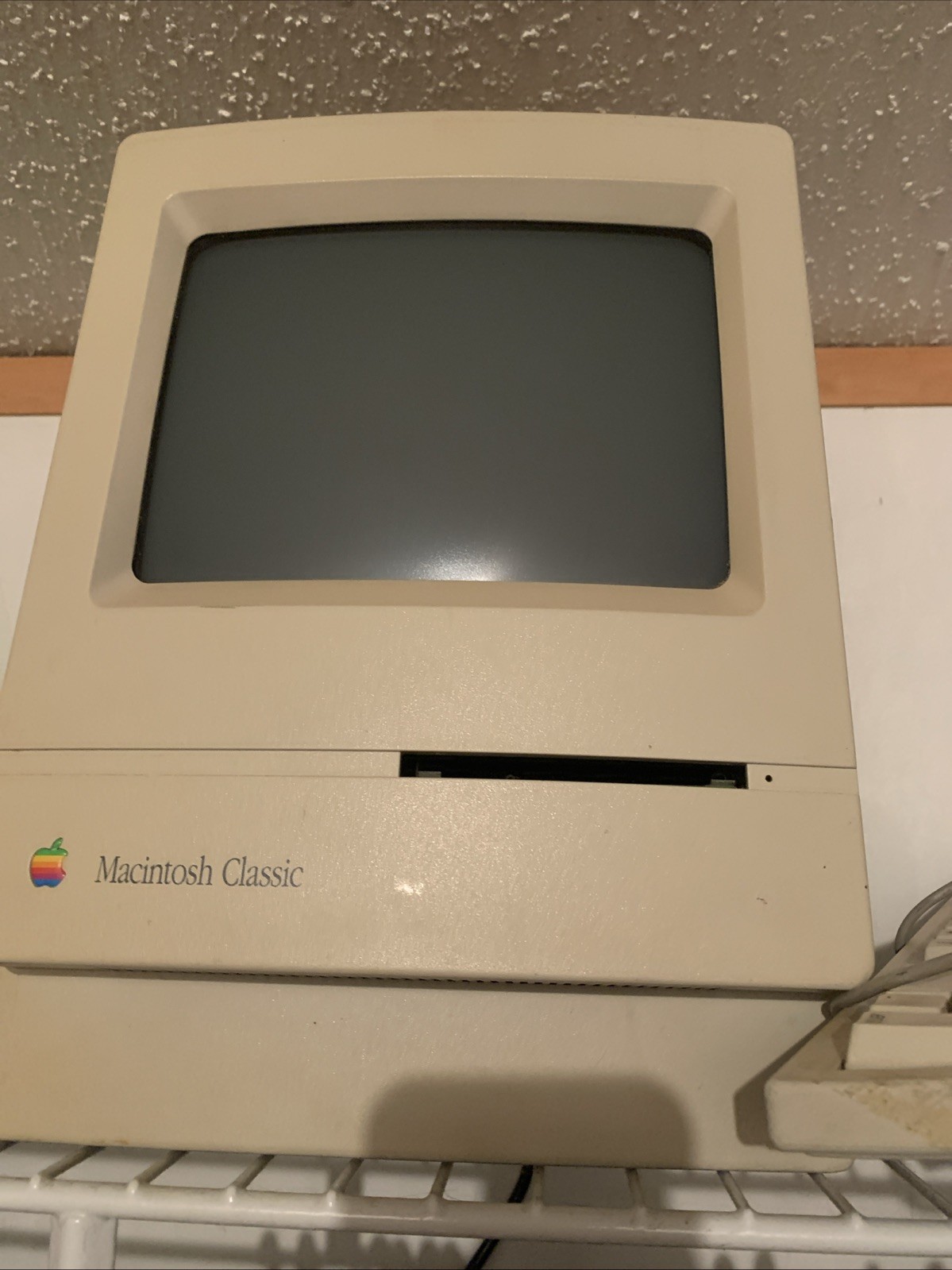 Apple Computer